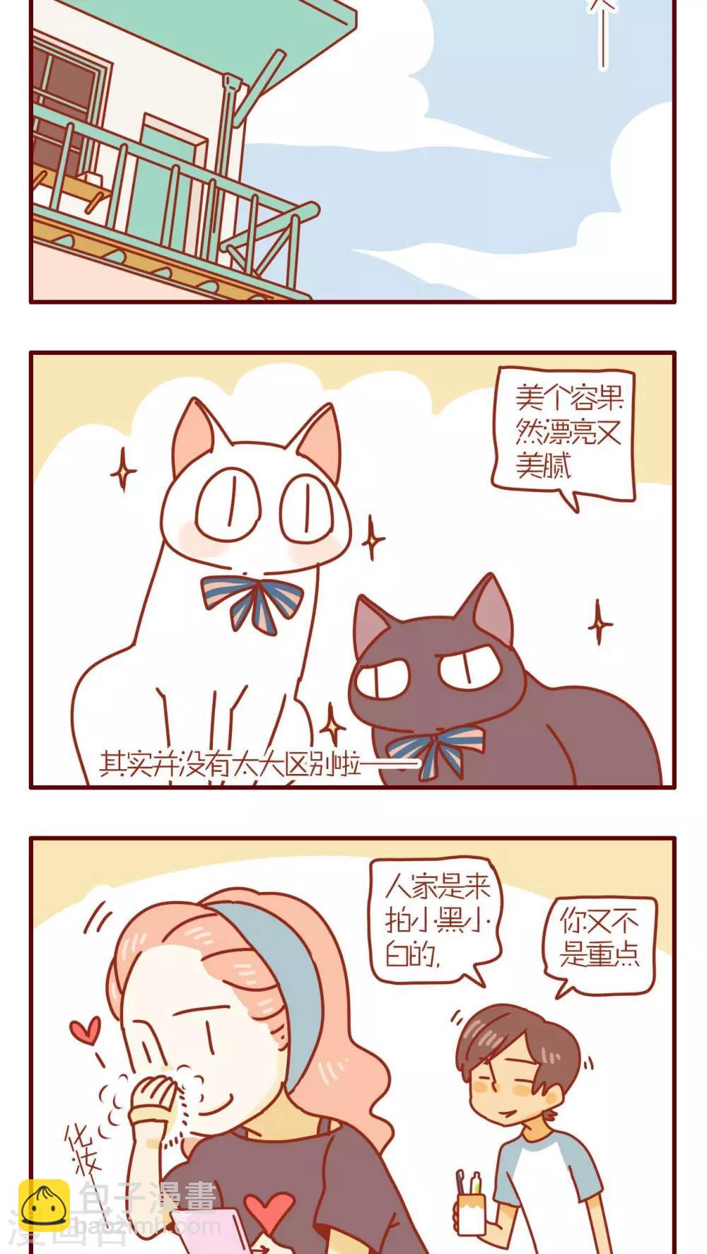 《猫咪甜品屋》第81话 第2页