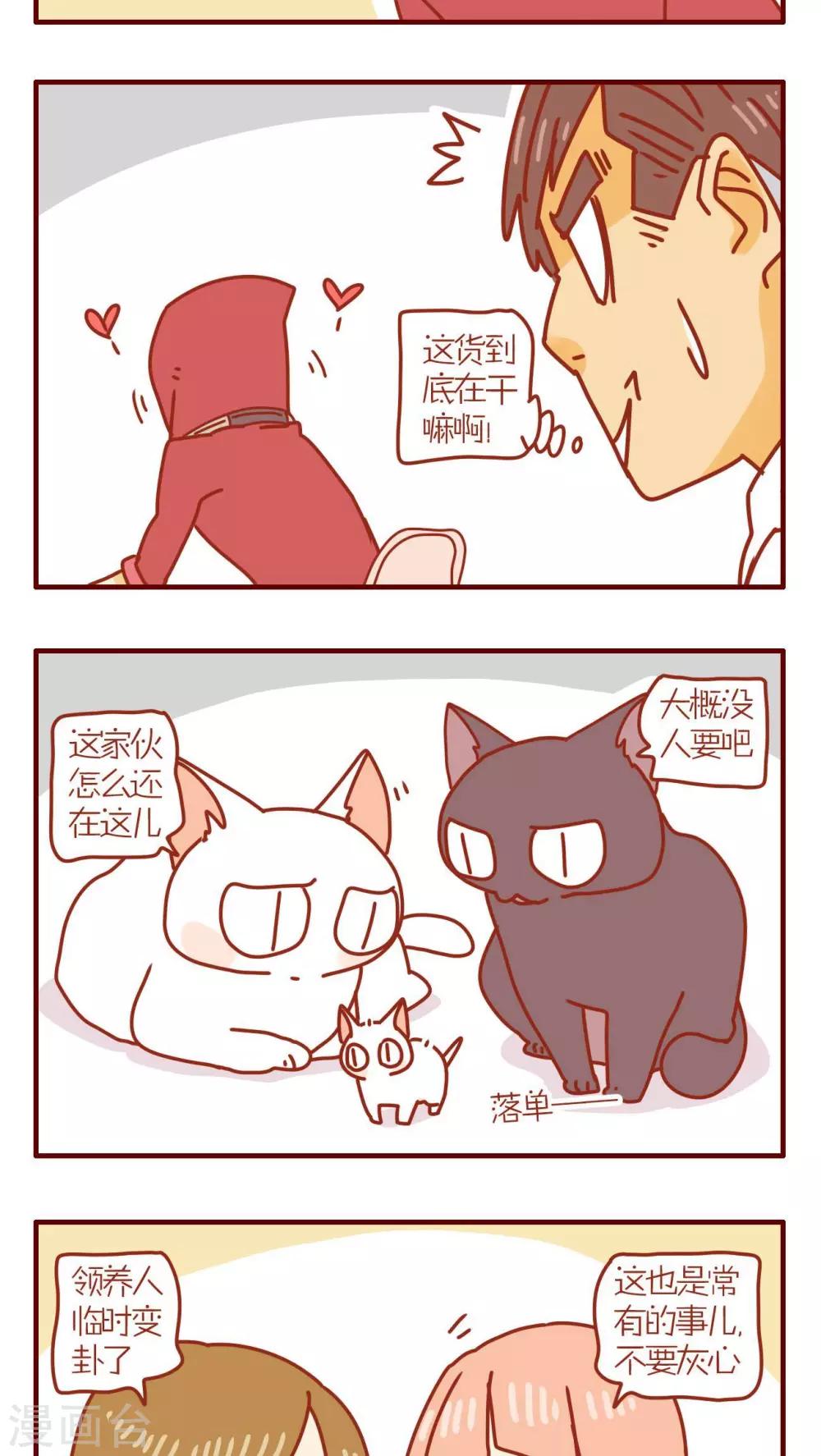 《猫咪甜品屋》第92话 第3页