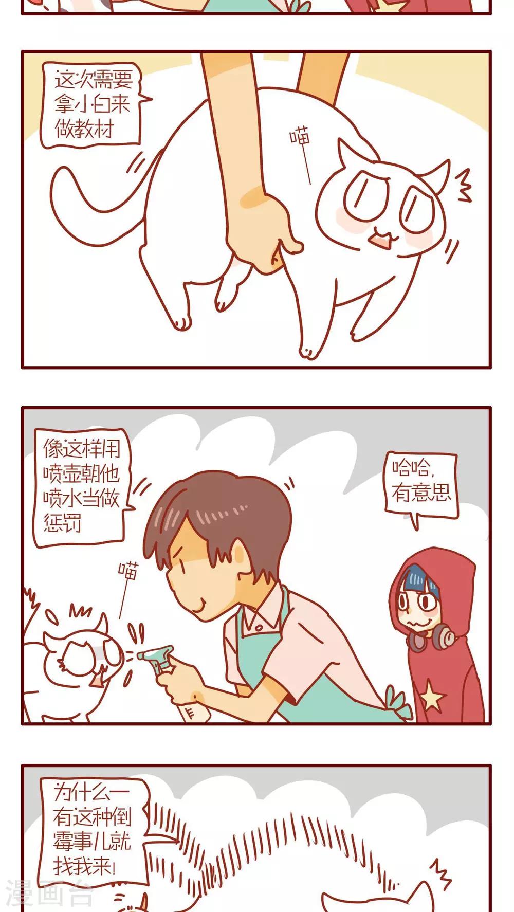 《猫咪甜品屋》第91话 第3页