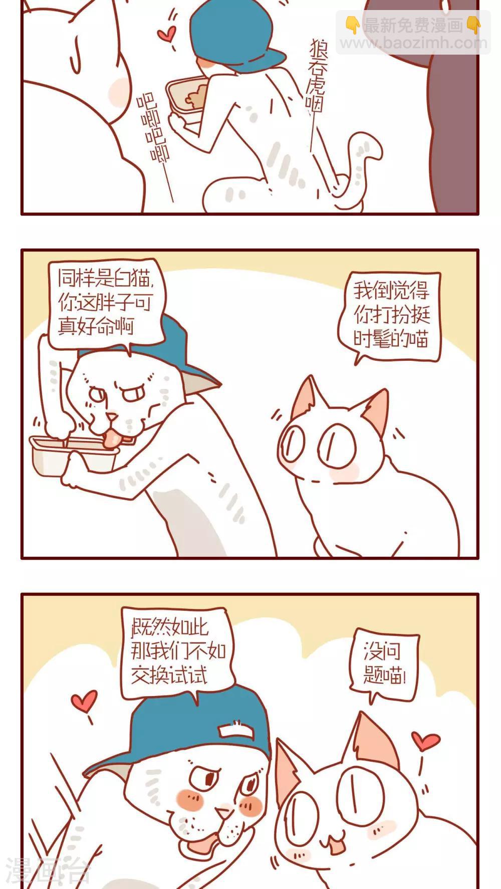 《猫咪甜品屋》第96话 第2页