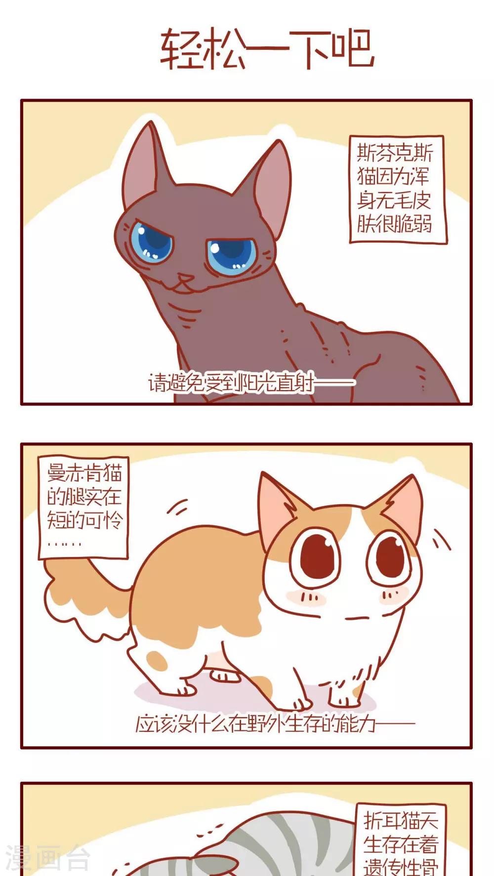 《猫咪甜品屋》第95话 第1页