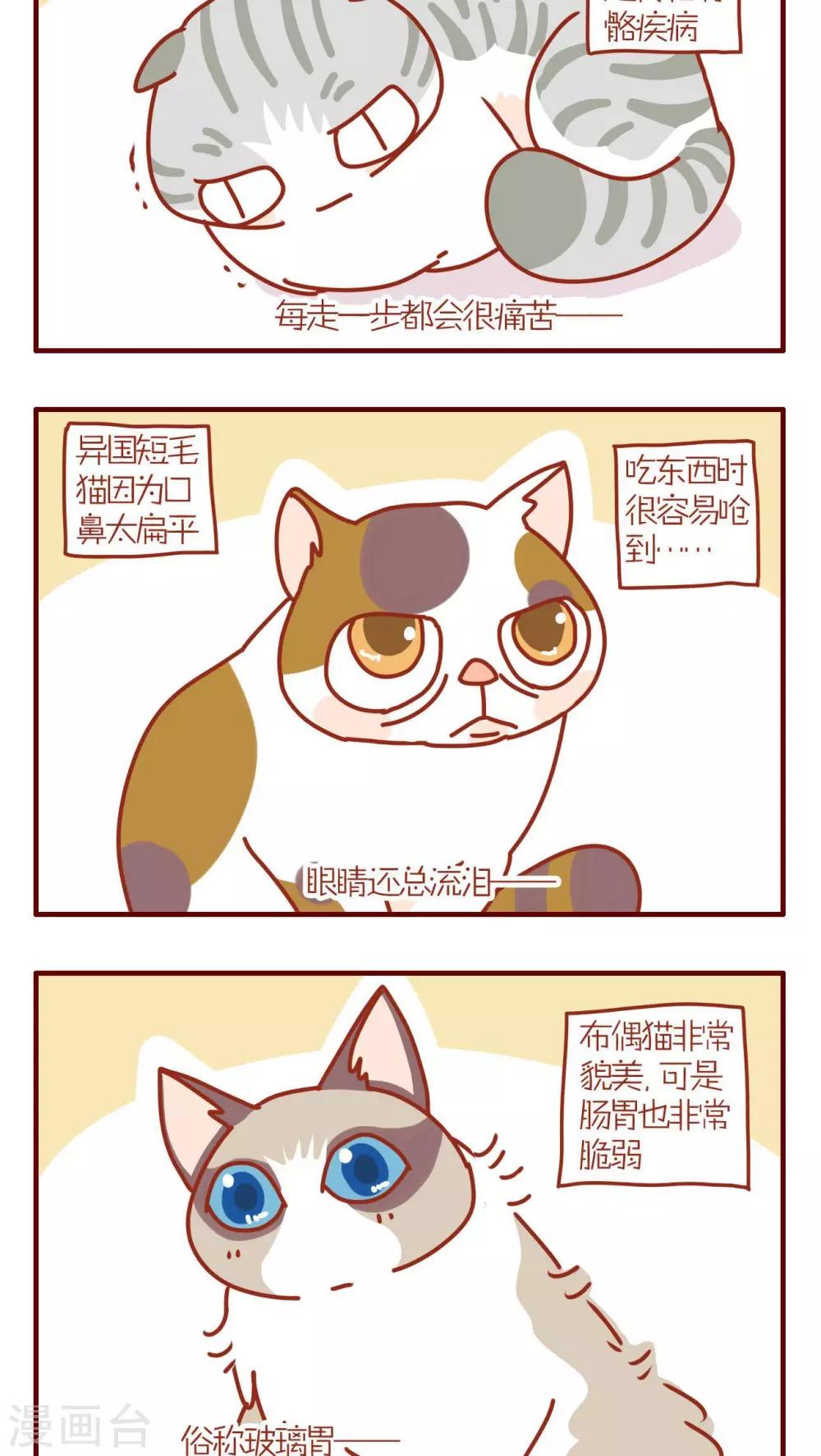 《猫咪甜品屋》第95话 第2页