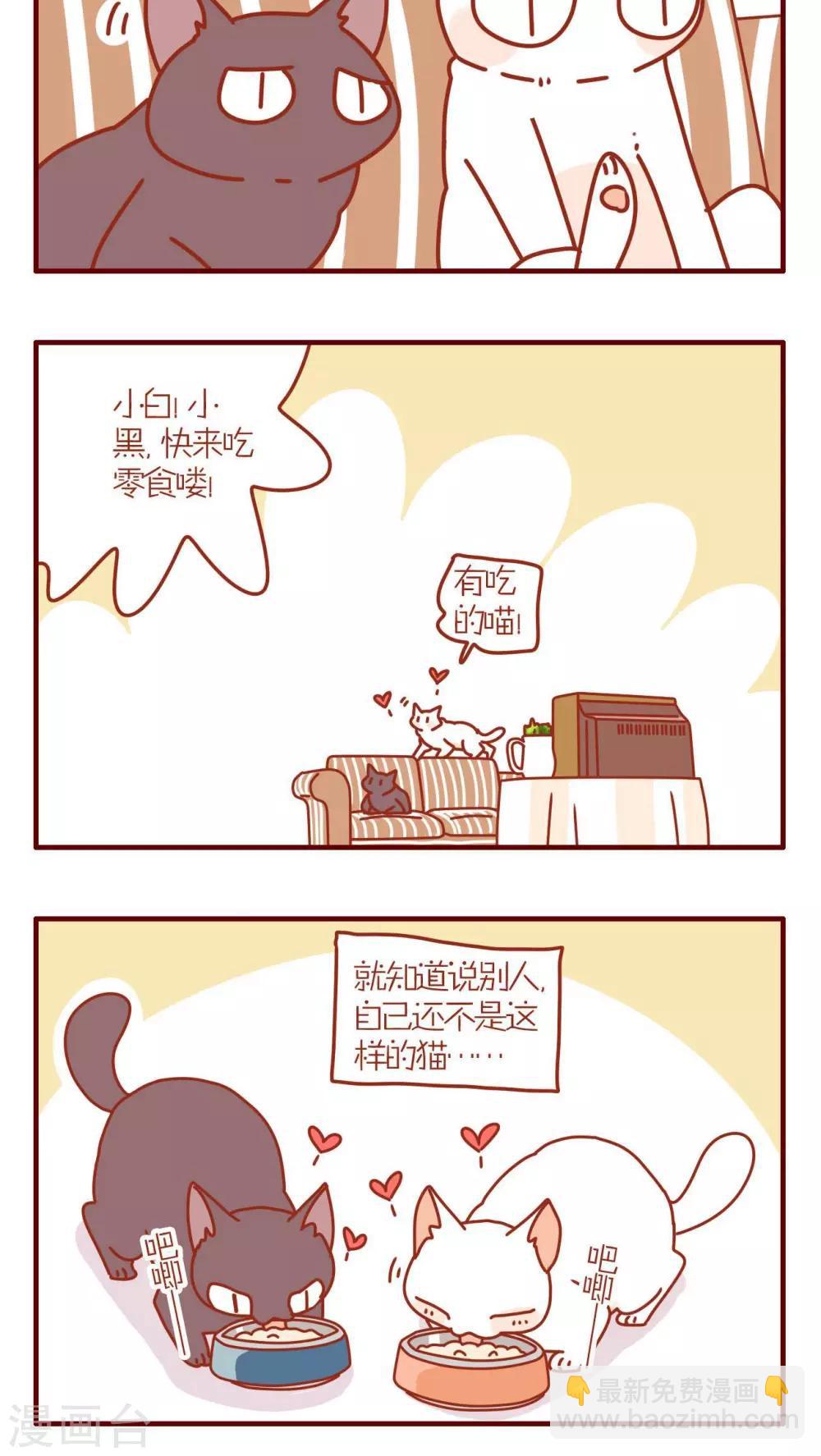 《猫咪甜品屋》第95话 第4页