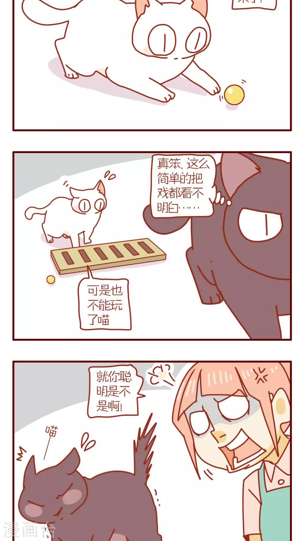《猫咪甜品屋》第99话 第2页