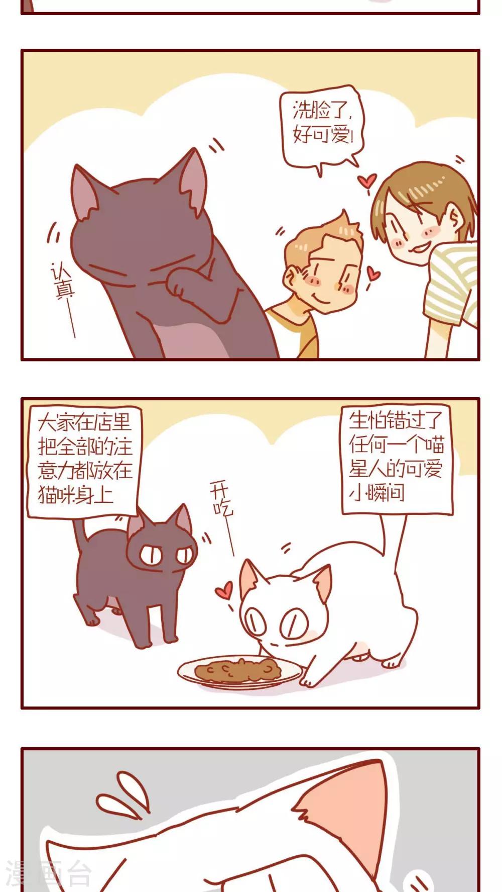 《猫咪甜品屋》第100话 第3页