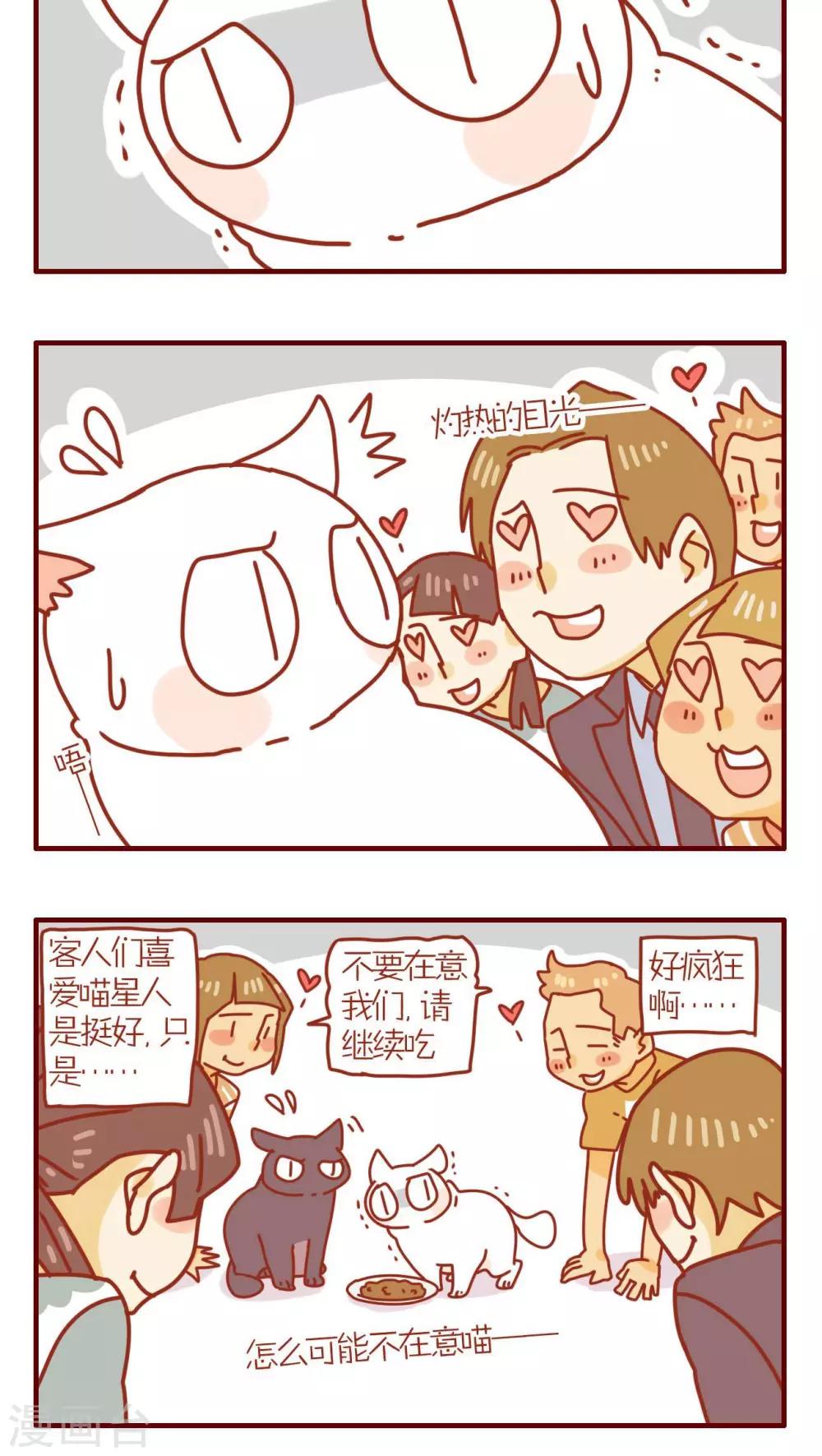 《猫咪甜品屋》第100话 第4页