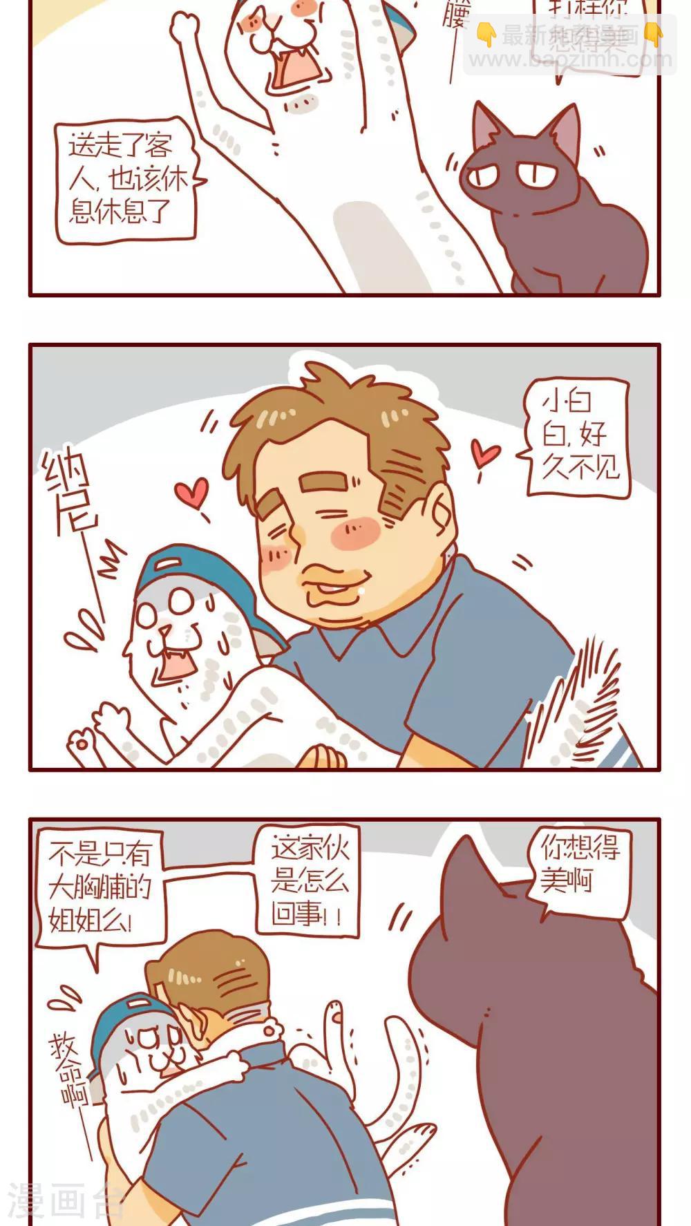 《猫咪甜品屋》第97话 第2页