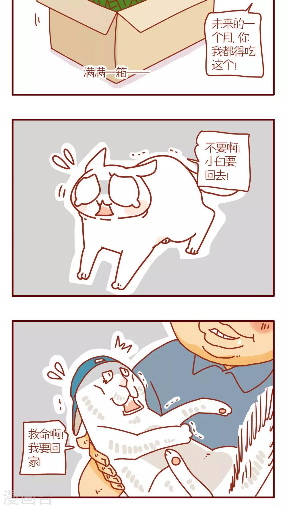 《猫咪甜品屋》第97话 第4页