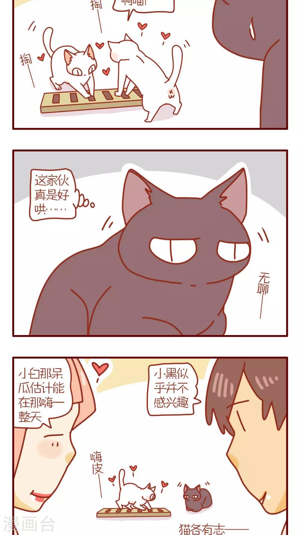 《猫咪甜品屋》第98话 第2页