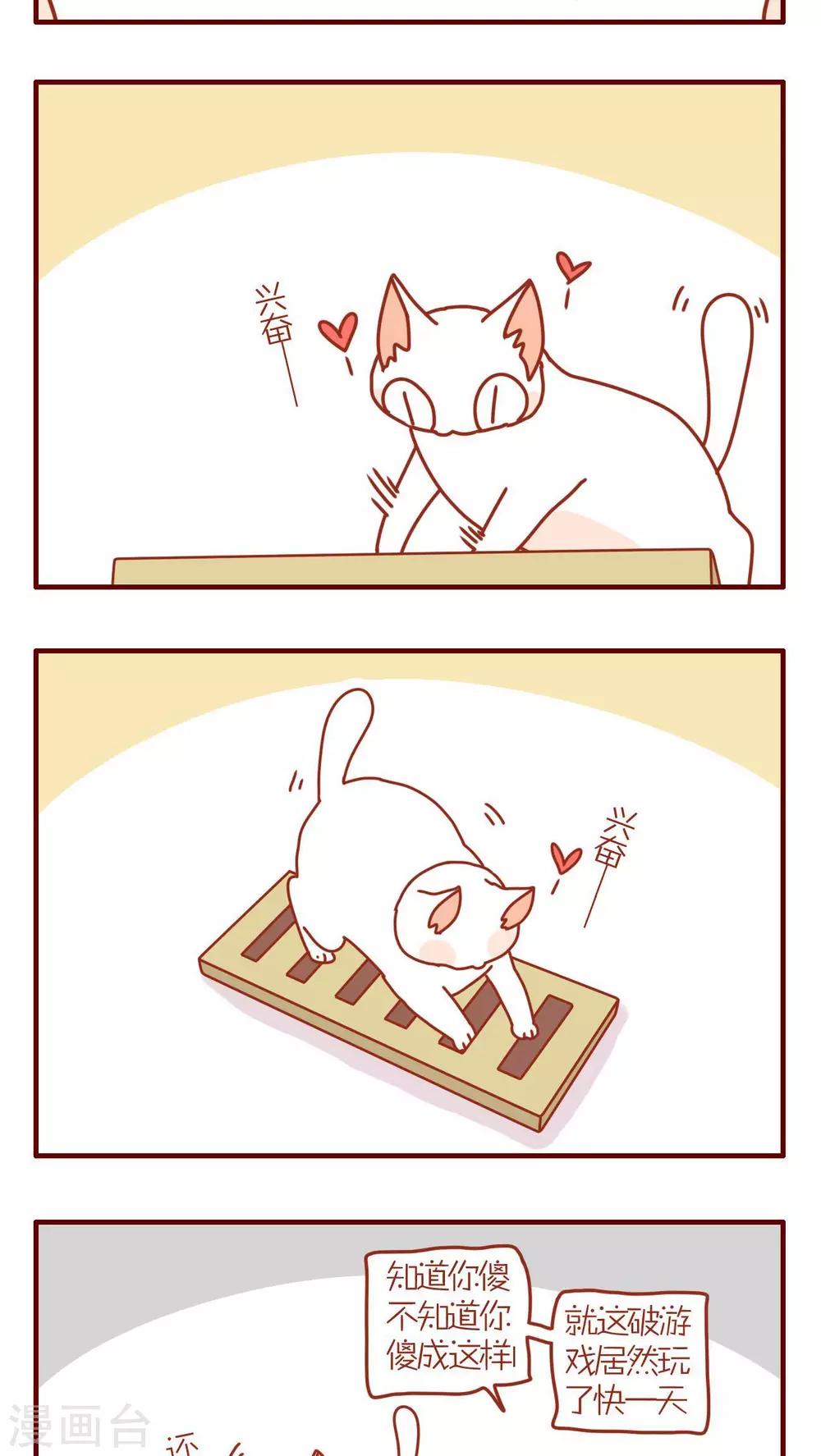 《猫咪甜品屋》第98话 第3页