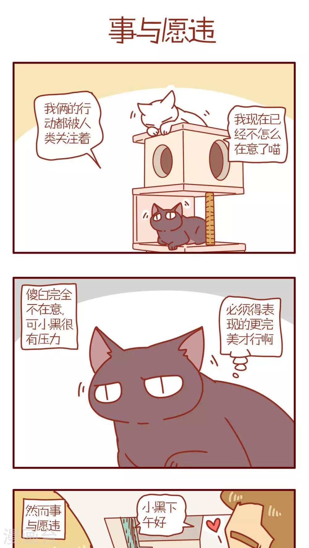《猫咪甜品屋》第101话 第1页