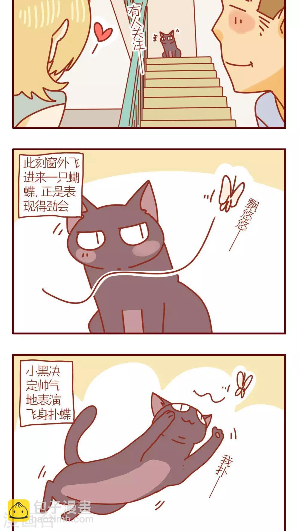 《猫咪甜品屋》第101话 第2页