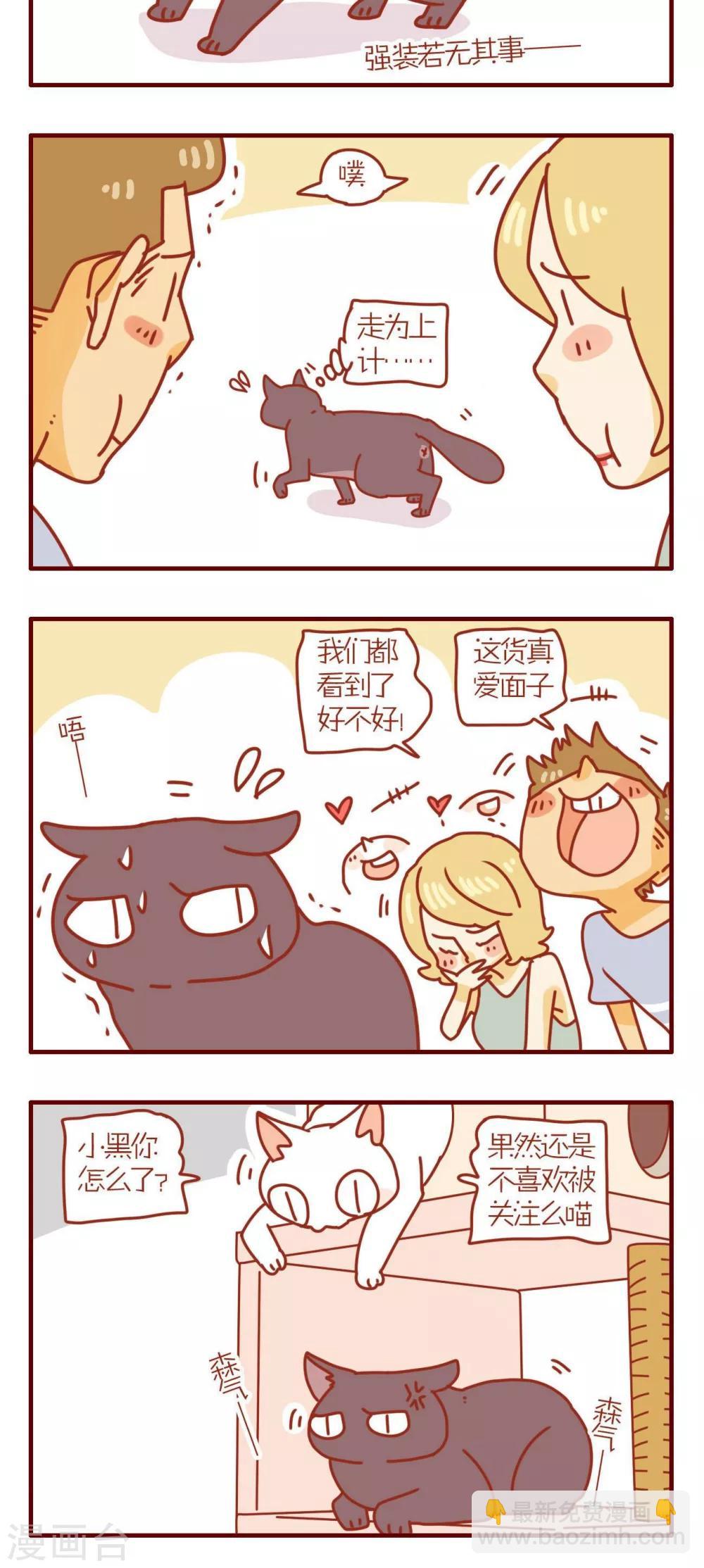 《猫咪甜品屋》第101话 第5页