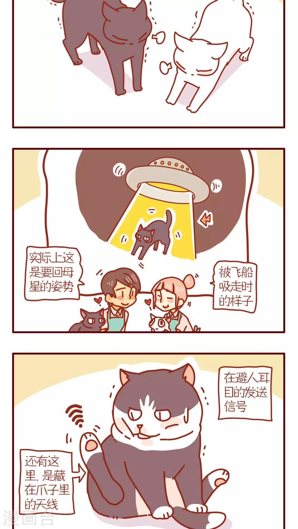 《猫咪甜品屋》第102话 第2页