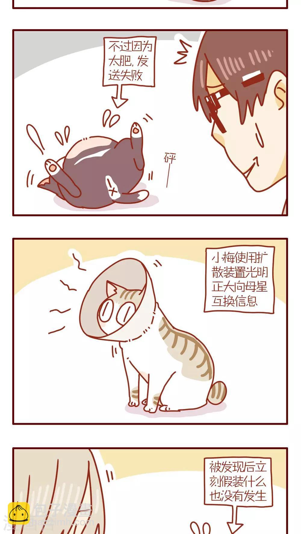 《猫咪甜品屋》第102话 第3页