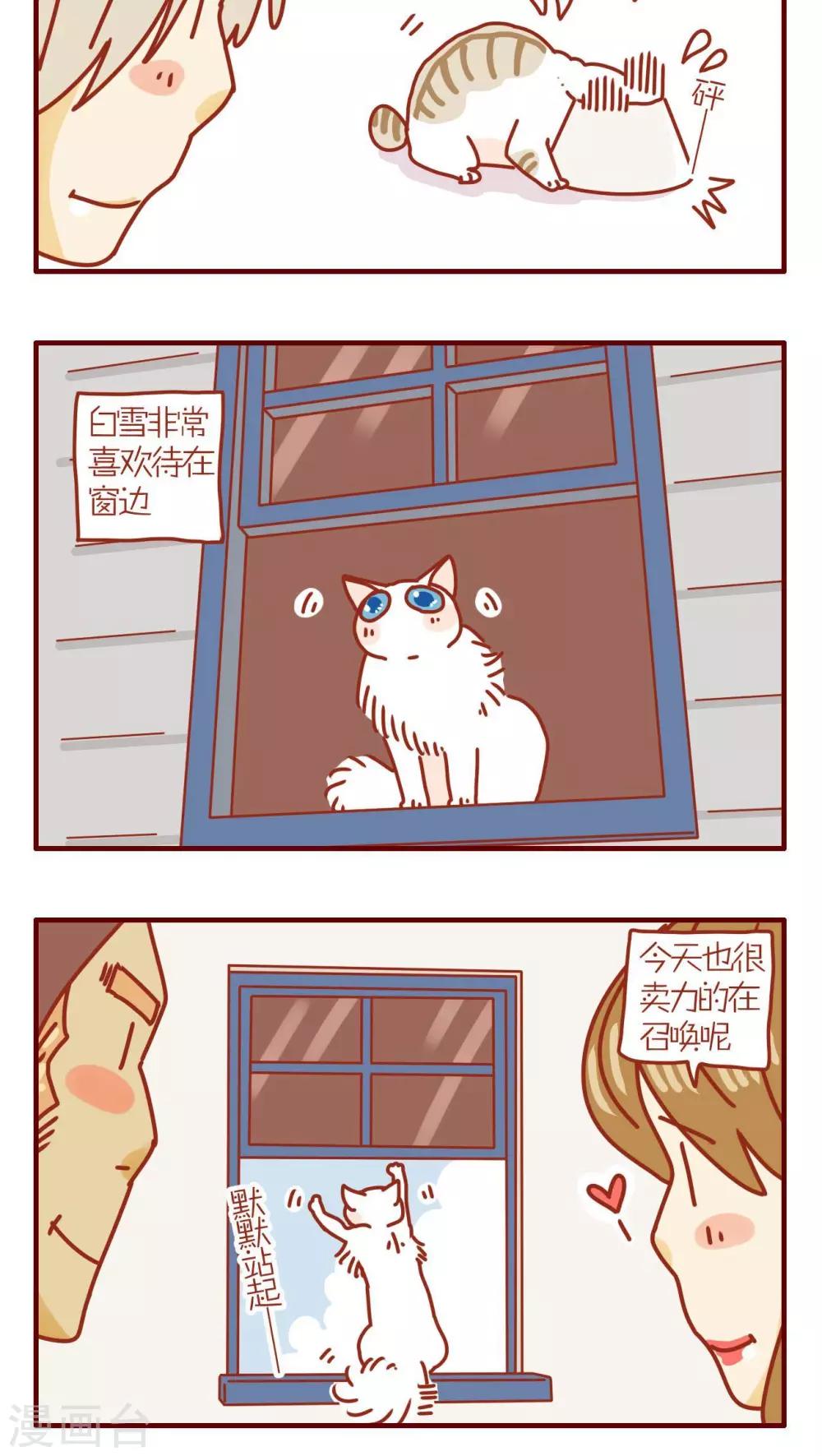 《猫咪甜品屋》第102话 第4页