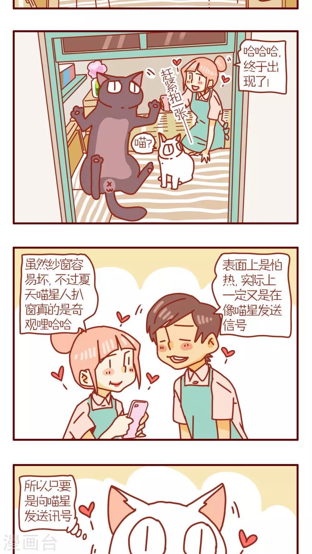 《猫咪甜品屋》第103话 第3页
