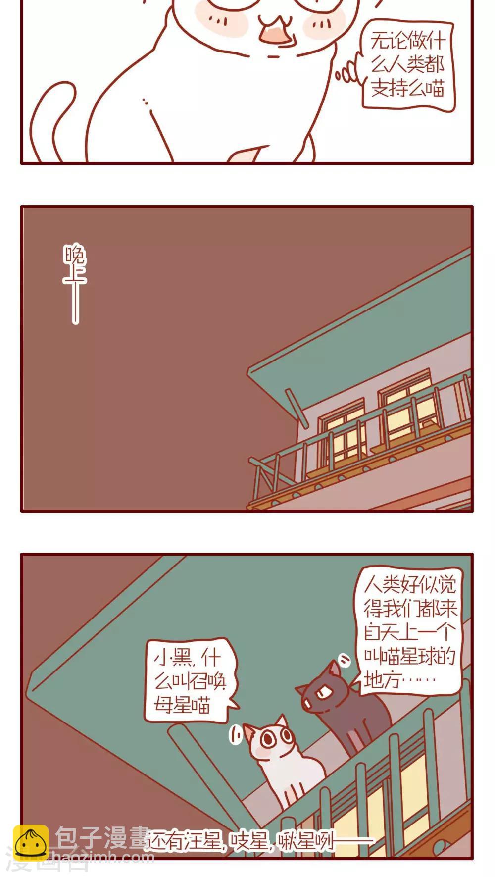 《猫咪甜品屋》第103话 第4页
