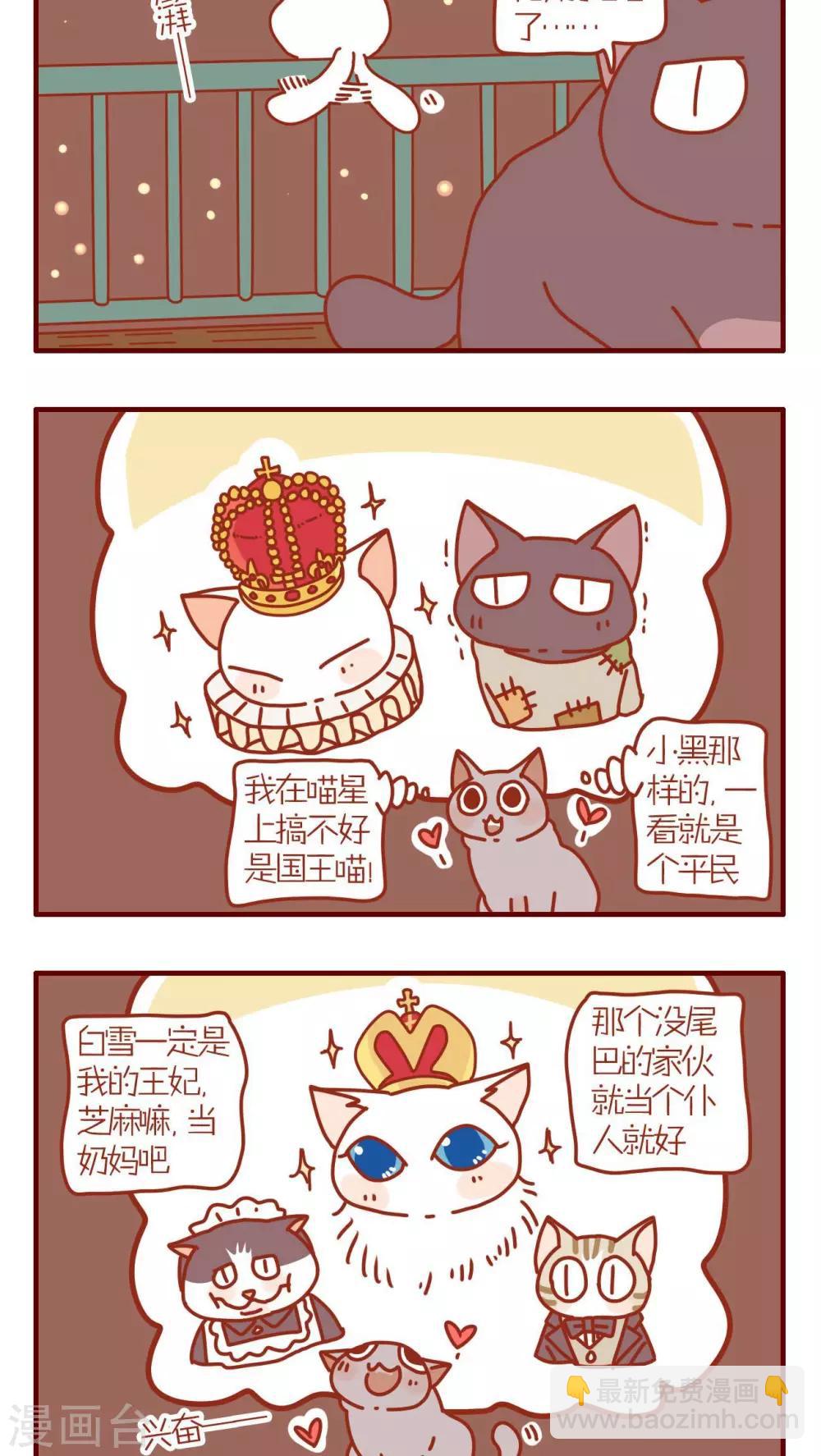《猫咪甜品屋》第104话 第2页