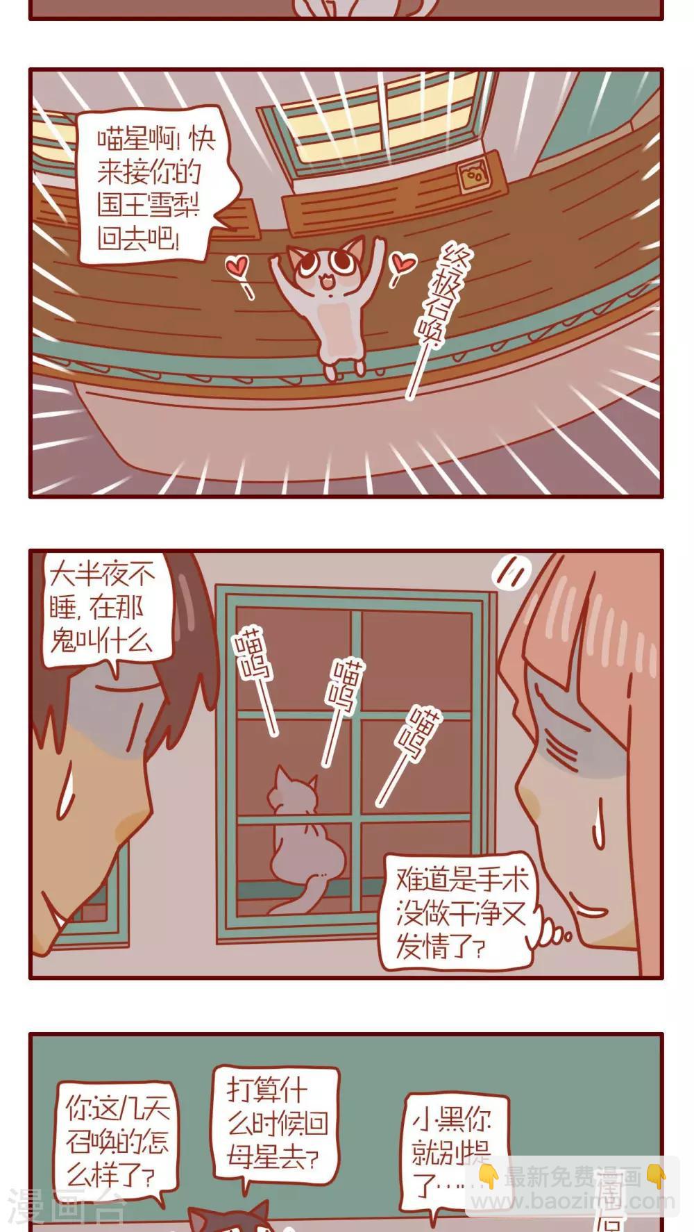 《猫咪甜品屋》第104话 第3页