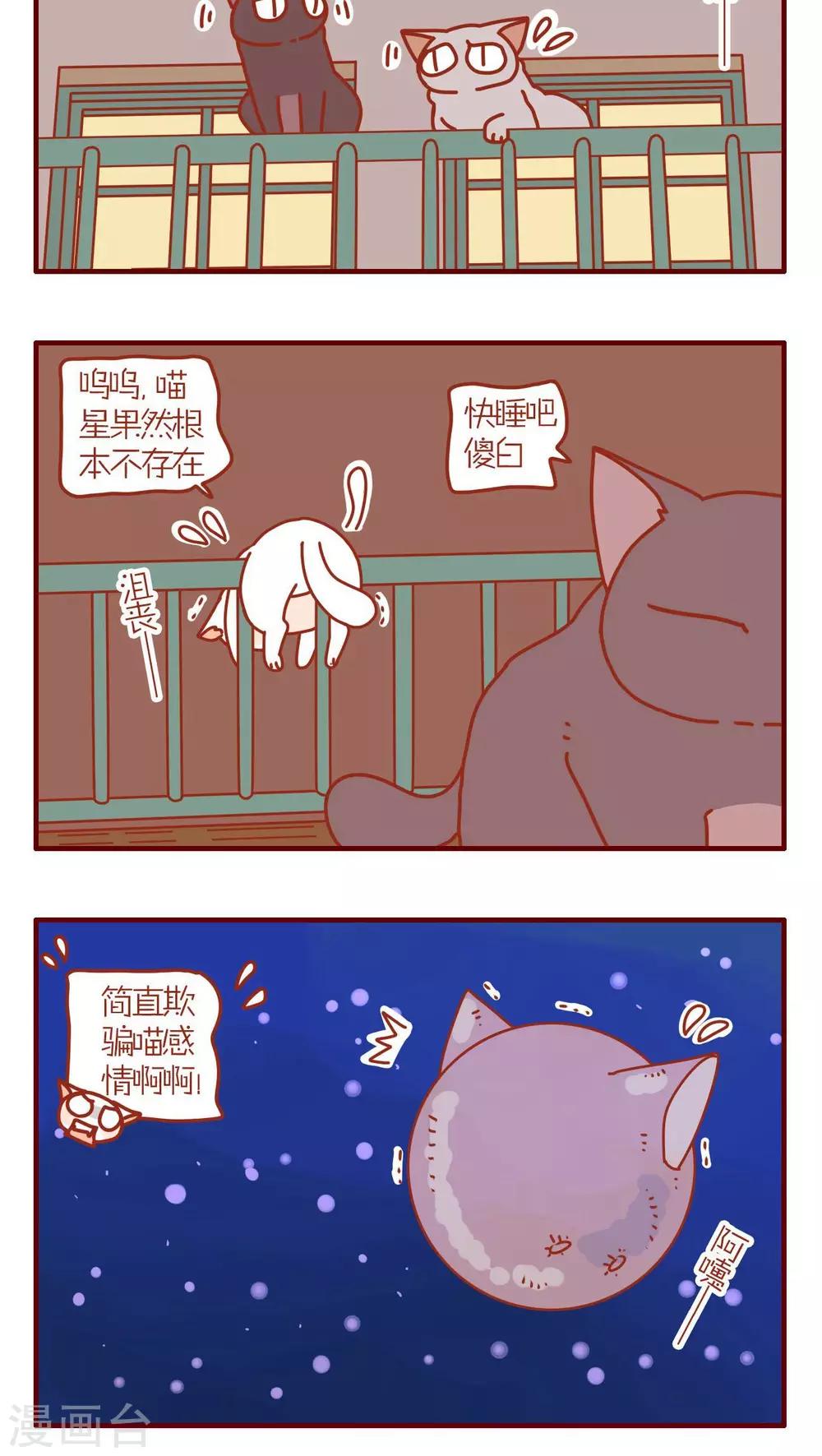 《猫咪甜品屋》第104话 第4页