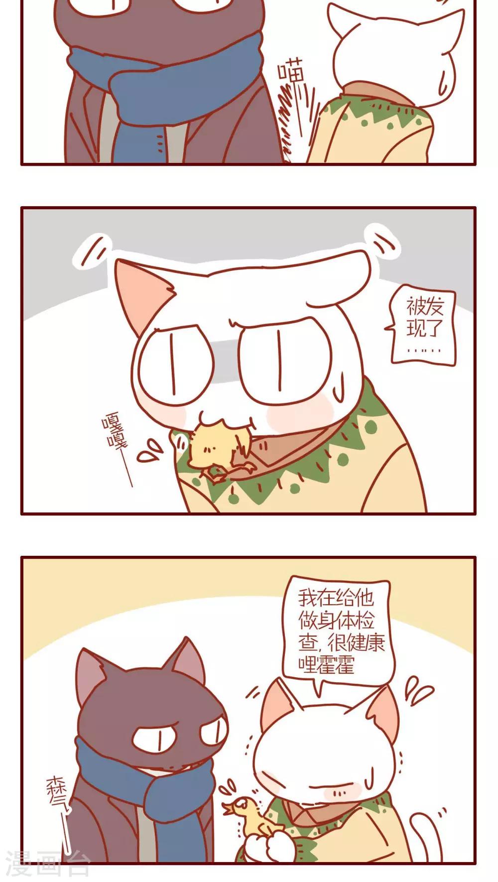 《猫咪甜品屋》第108话 第4页