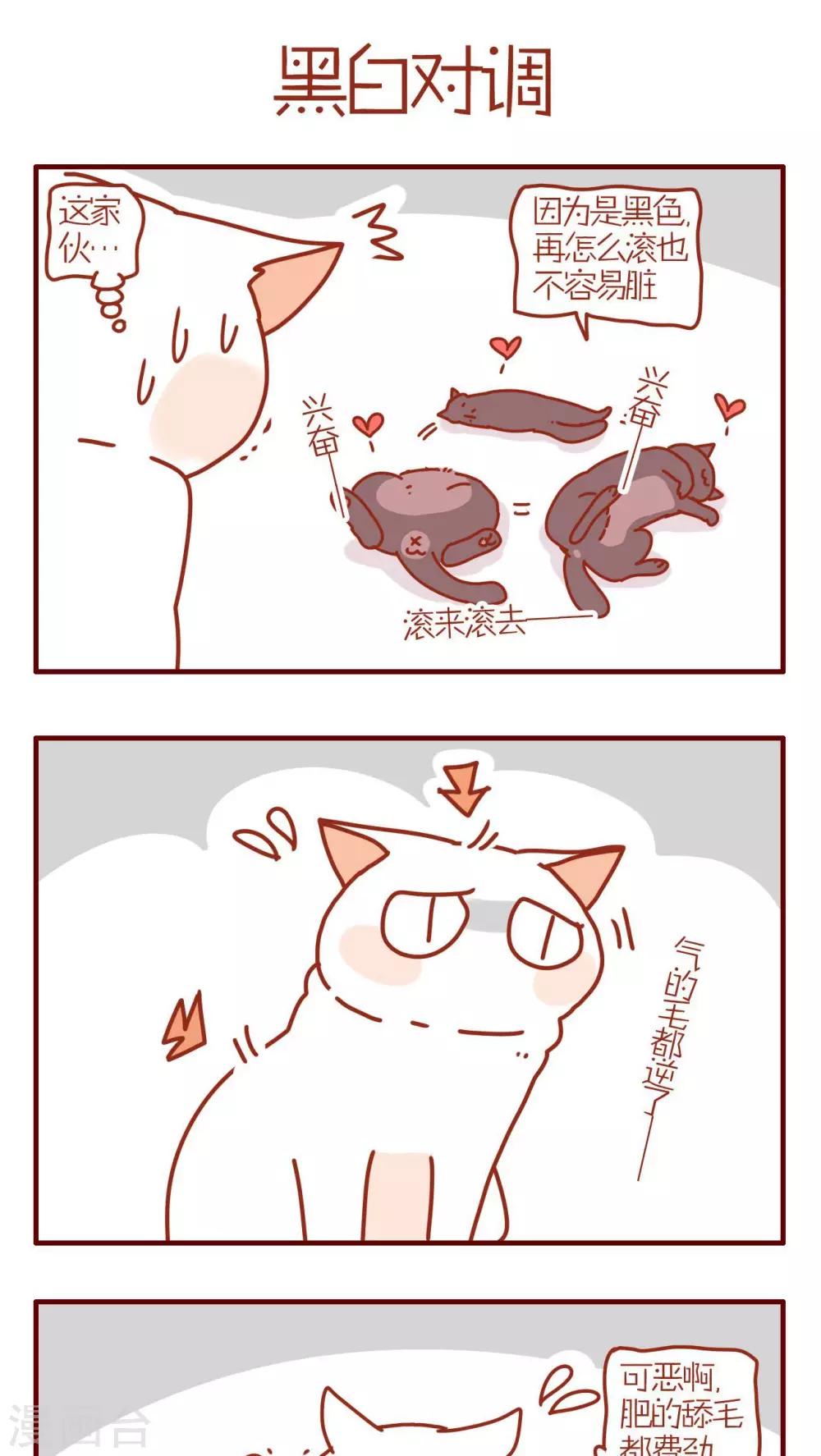 《猫咪甜品屋》第112话 第1页