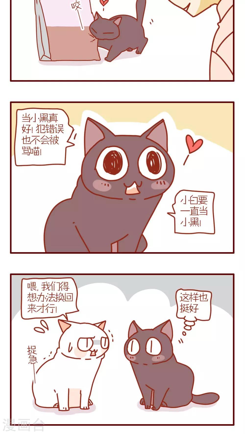 《猫咪甜品屋》第112话 第4页