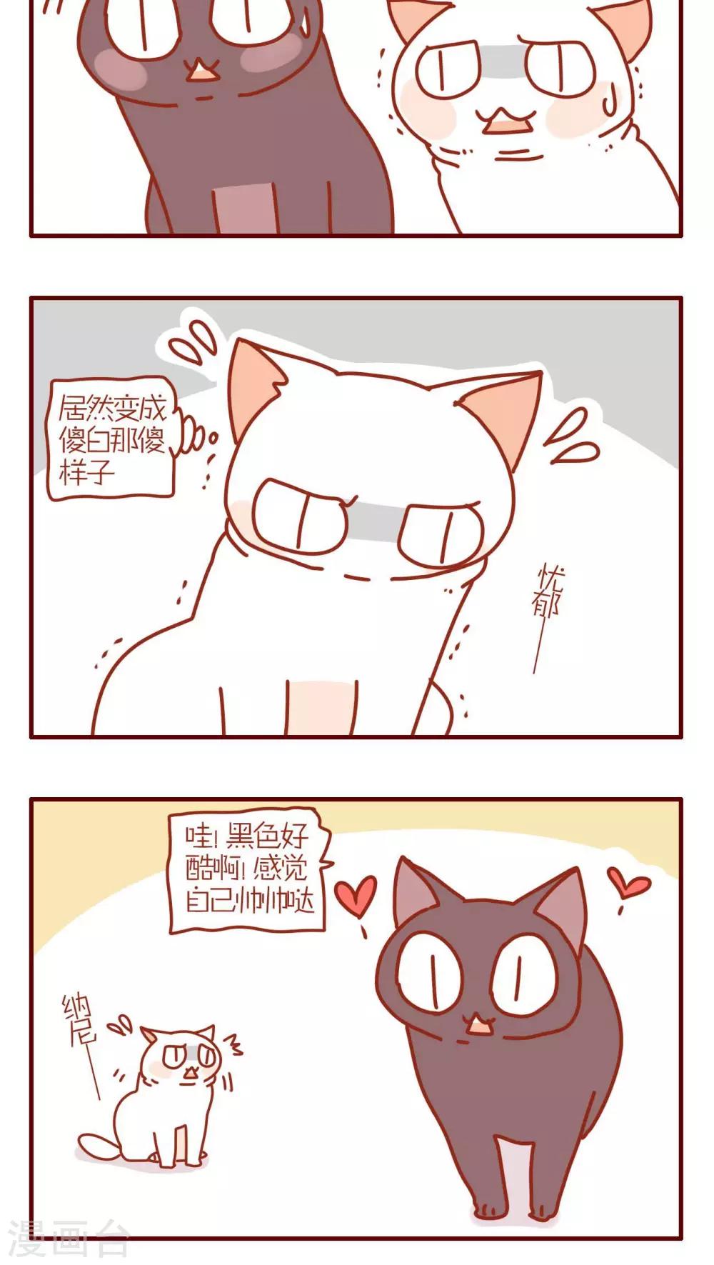 《猫咪甜品屋》第111话 第4页