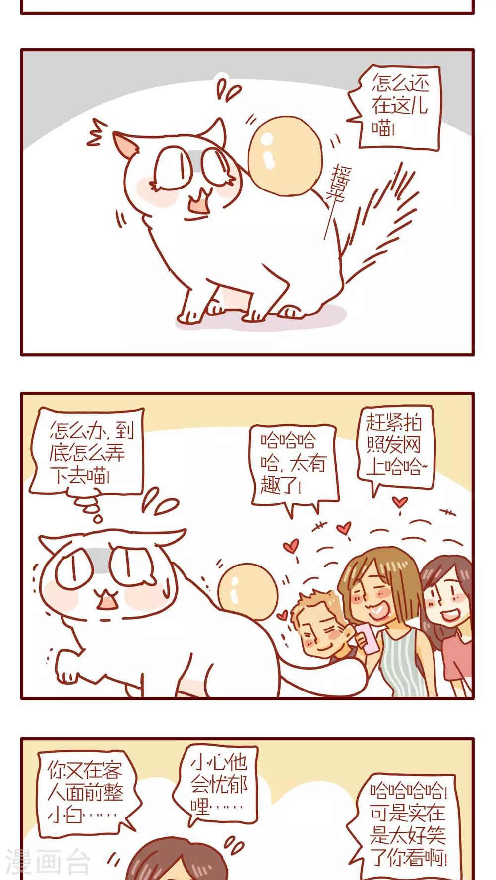 《猫咪甜品屋》第116话 第3页