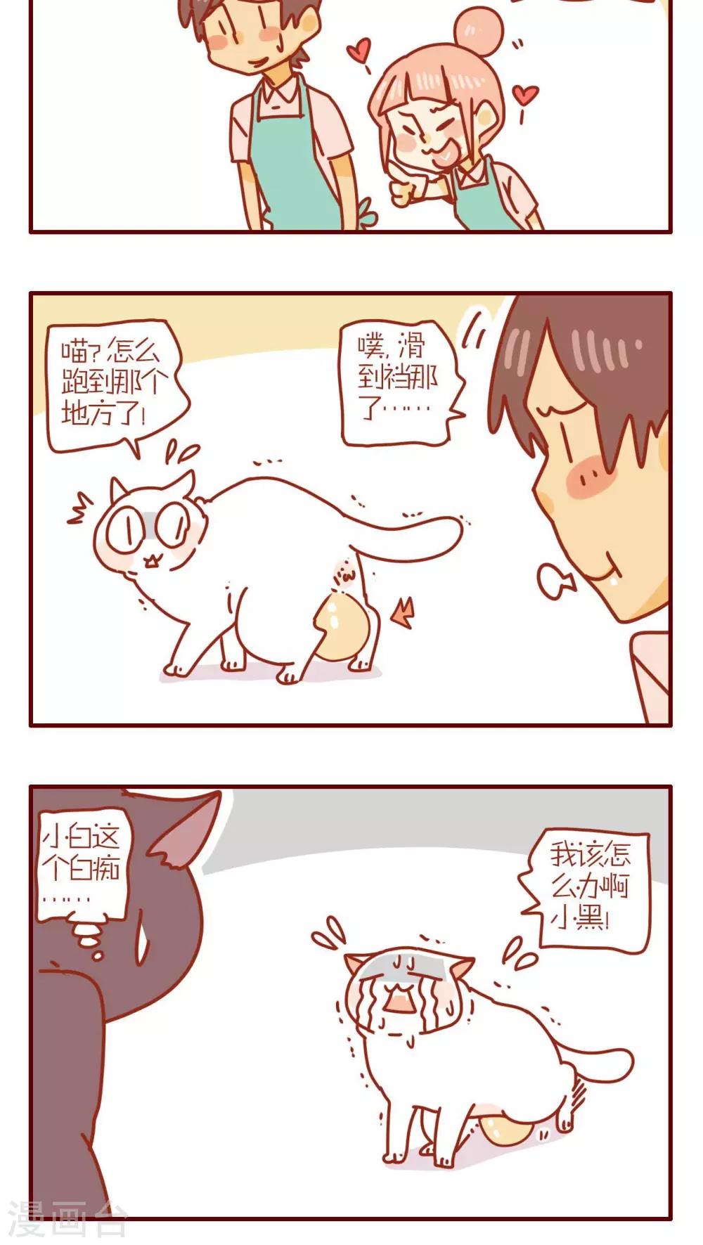 《猫咪甜品屋》第116话 第4页