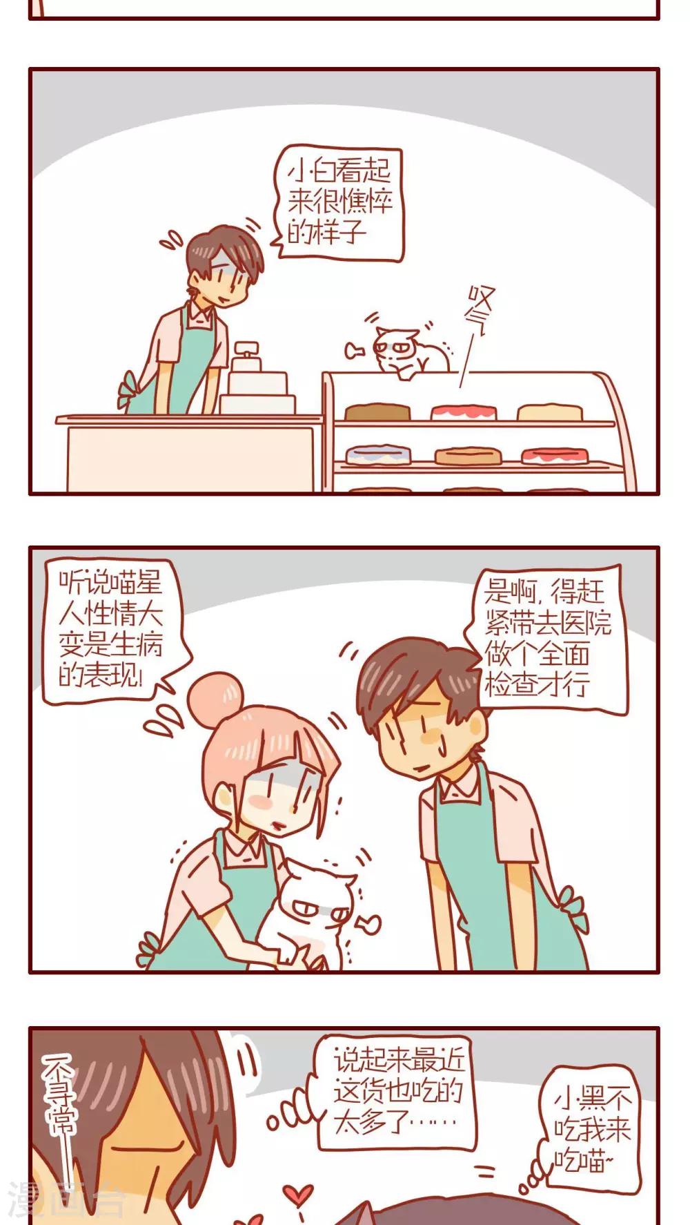 《猫咪甜品屋》第113话 第3页