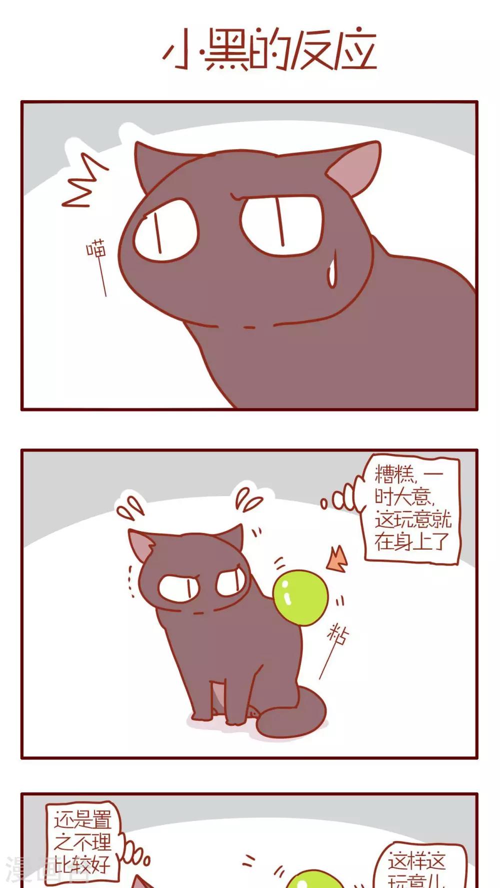 《猫咪甜品屋》第117话 第1页