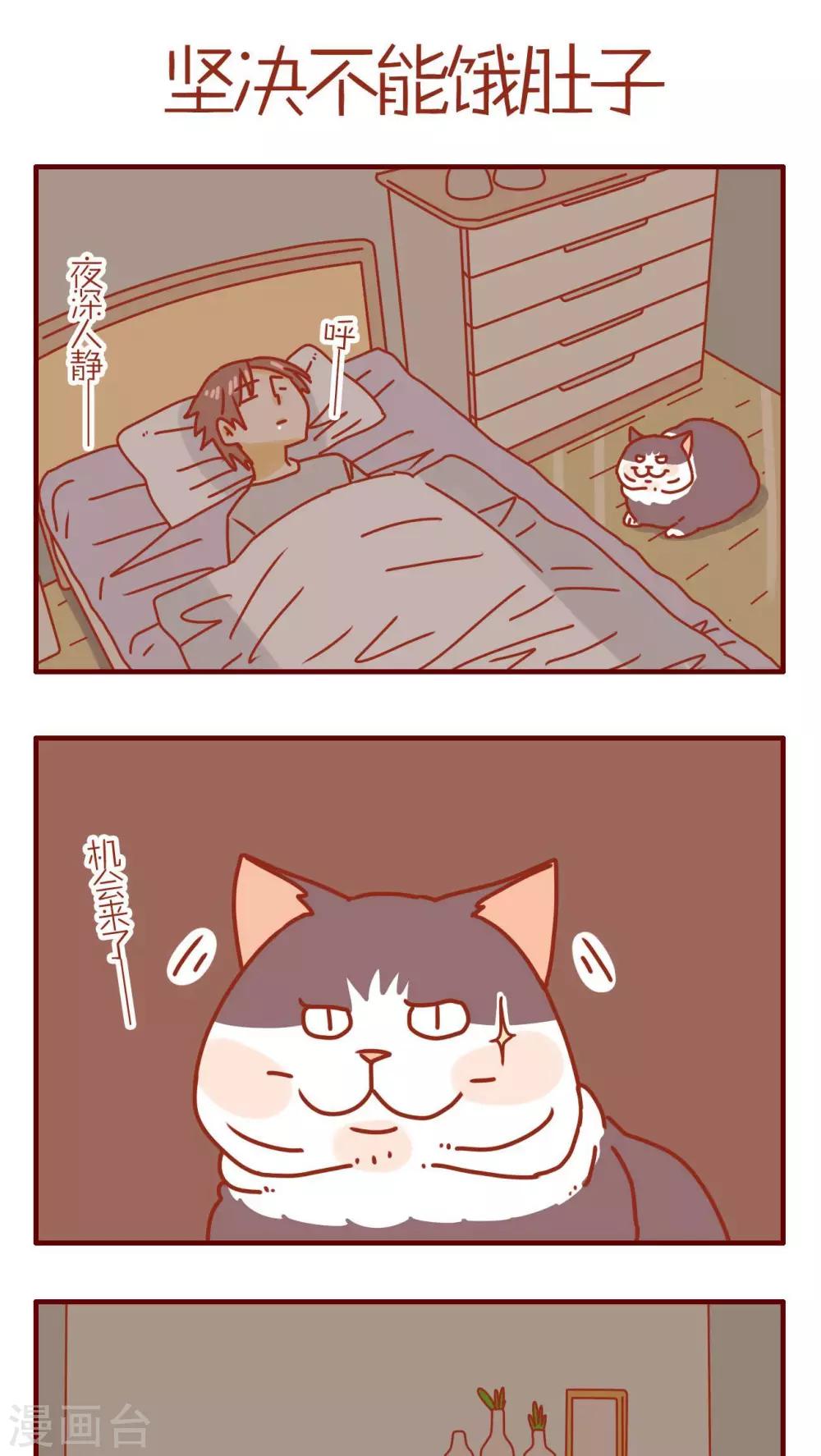 《猫咪甜品屋》第122话 第1页