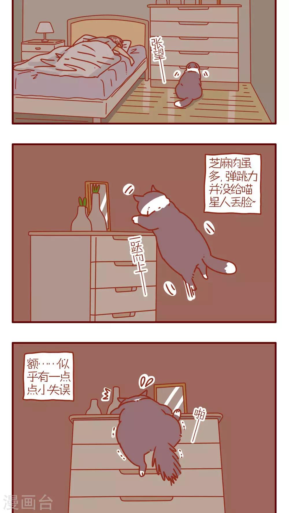 《猫咪甜品屋》第122话 第2页