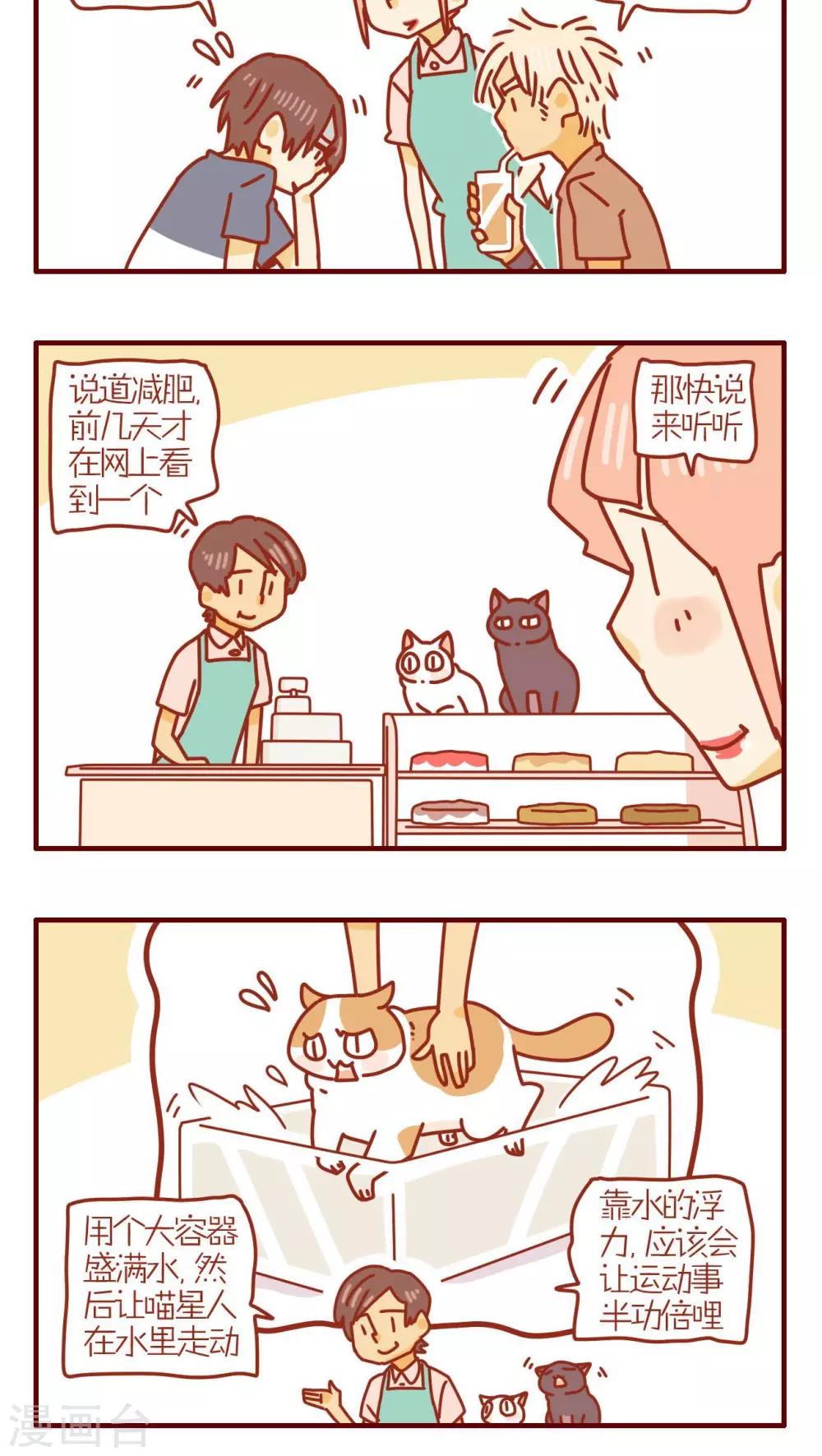《猫咪甜品屋》第123话 第4页