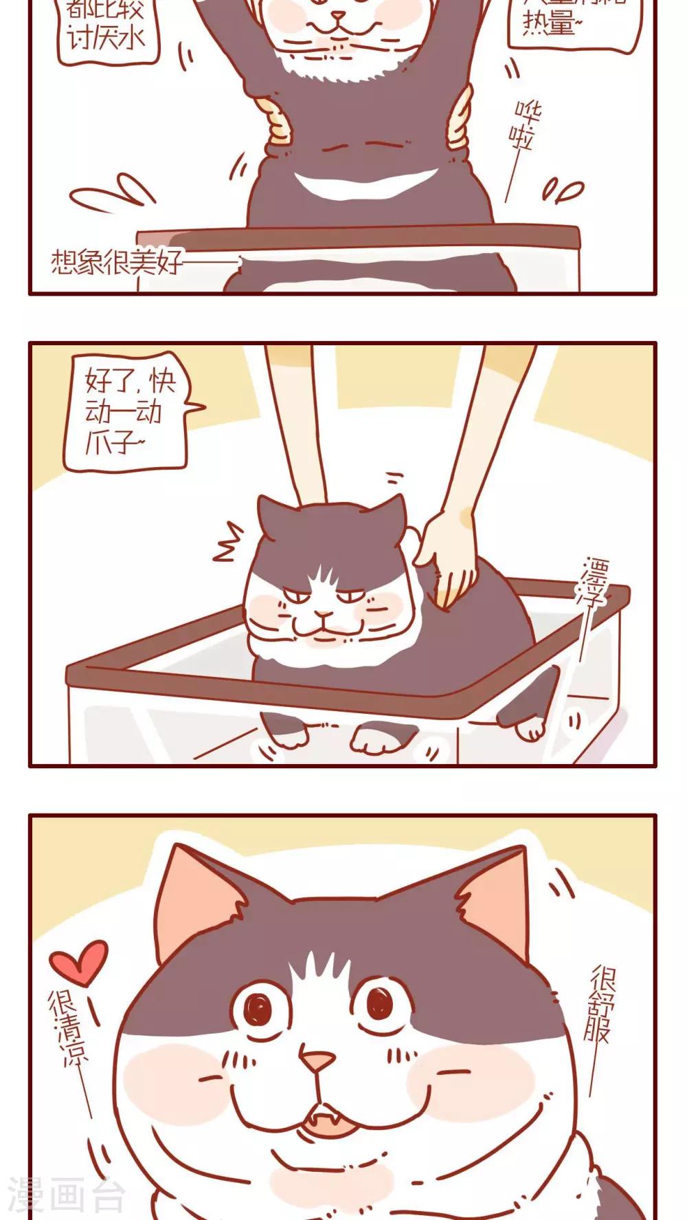 《猫咪甜品屋》第124话 第2页