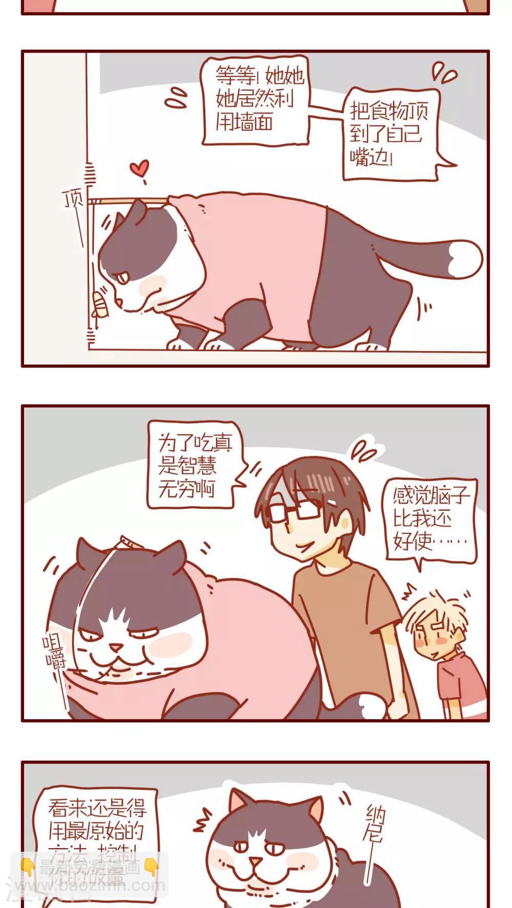 《猫咪甜品屋》第121话 第3页