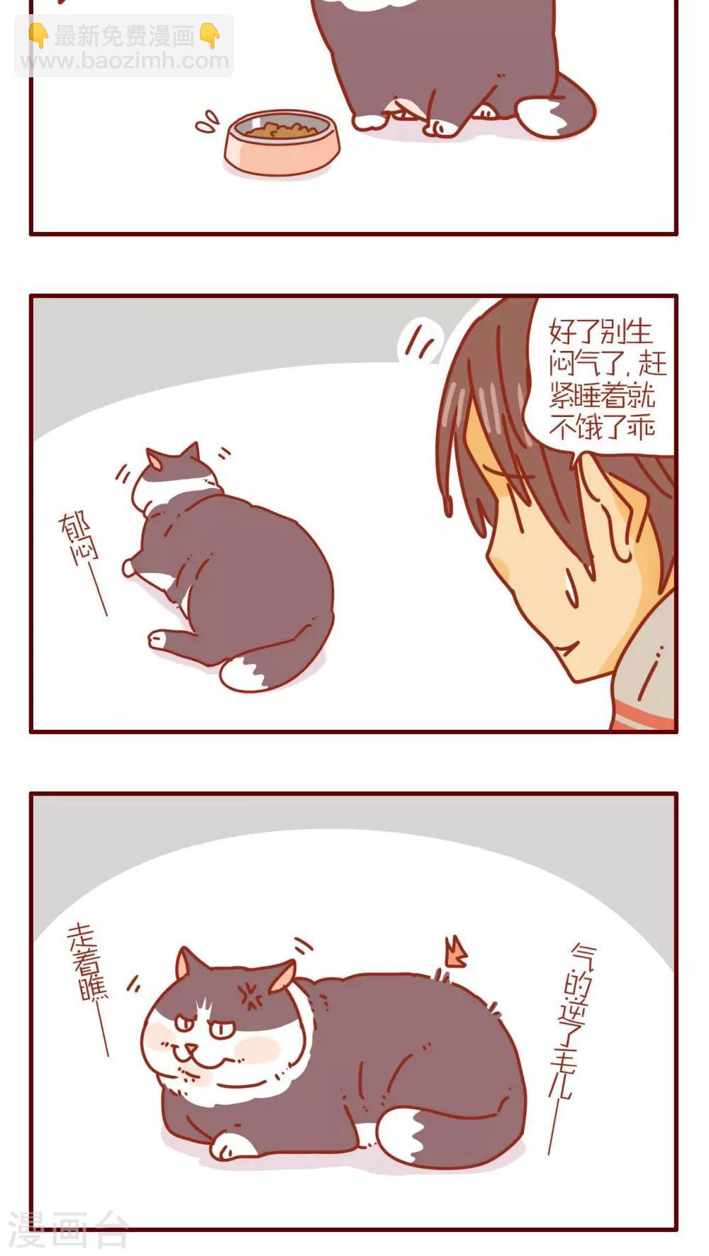 《猫咪甜品屋》第121话 第4页