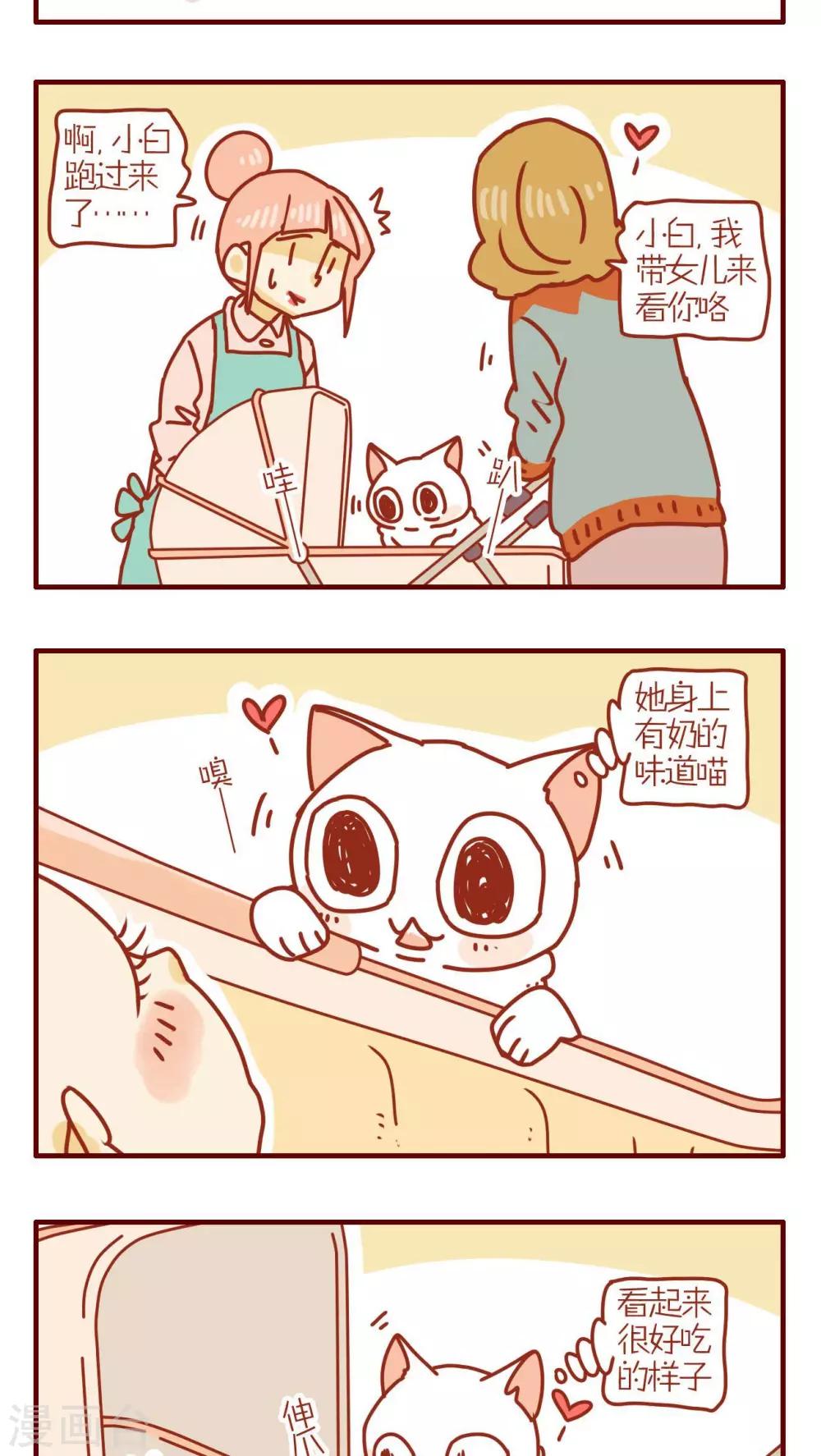 《猫咪甜品屋》第125话 第3页