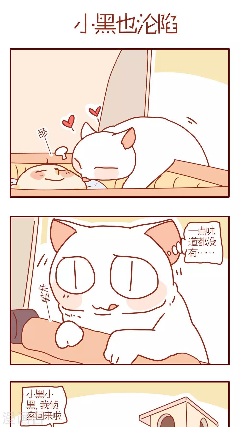 《猫咪甜品屋》第126话 第1页