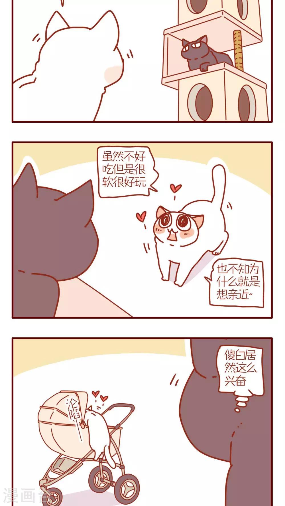 《猫咪甜品屋》第126话 第2页