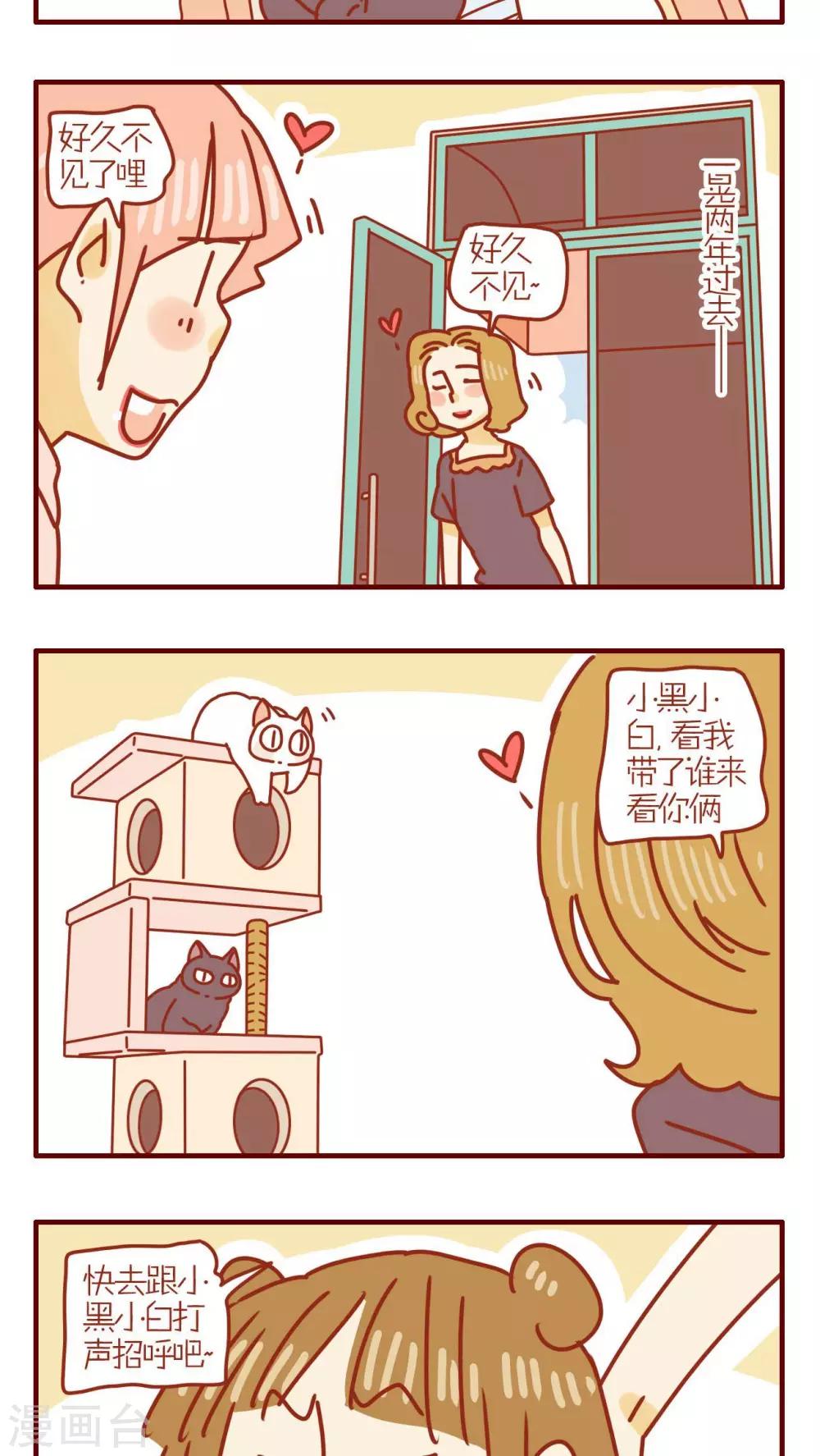 《猫咪甜品屋》第127话 第3页