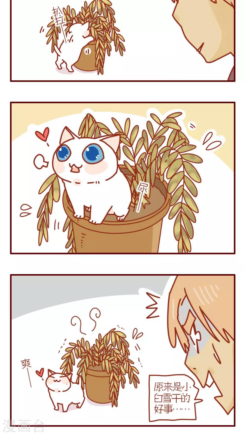 《猫咪甜品屋》第135话 第4页
