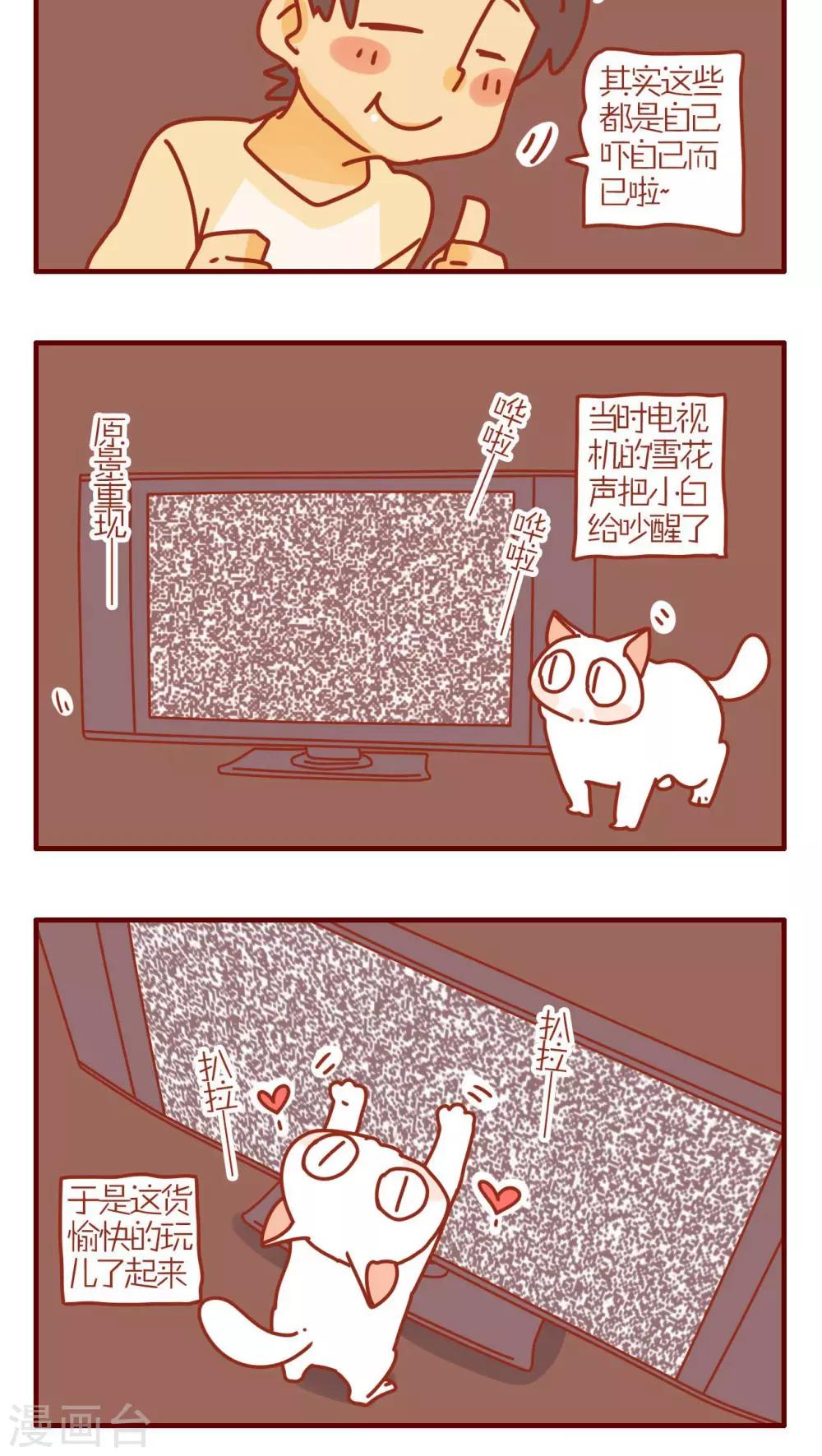 《猫咪甜品屋》第138话 第4页