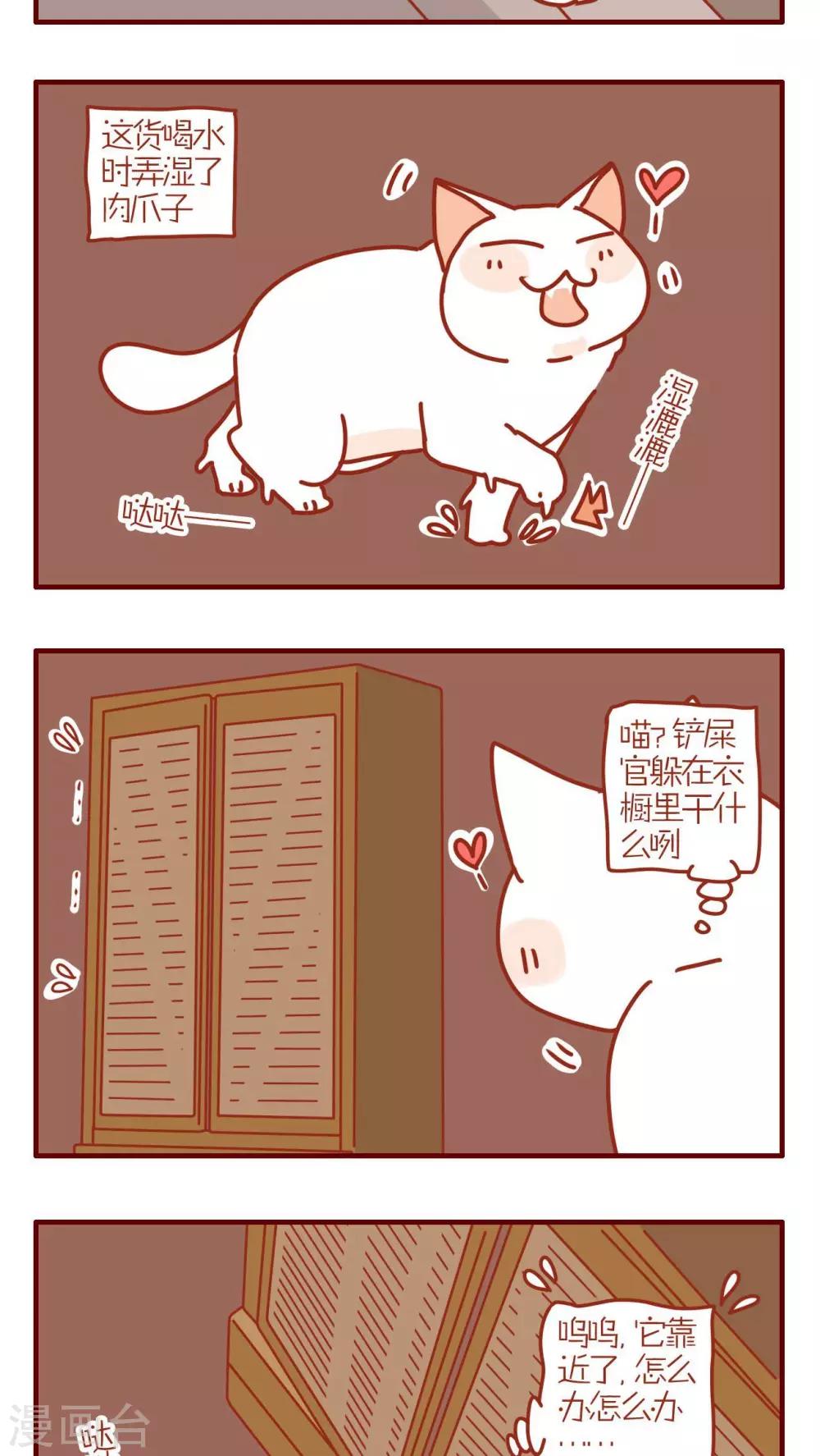 《猫咪甜品屋》第139话 第3页