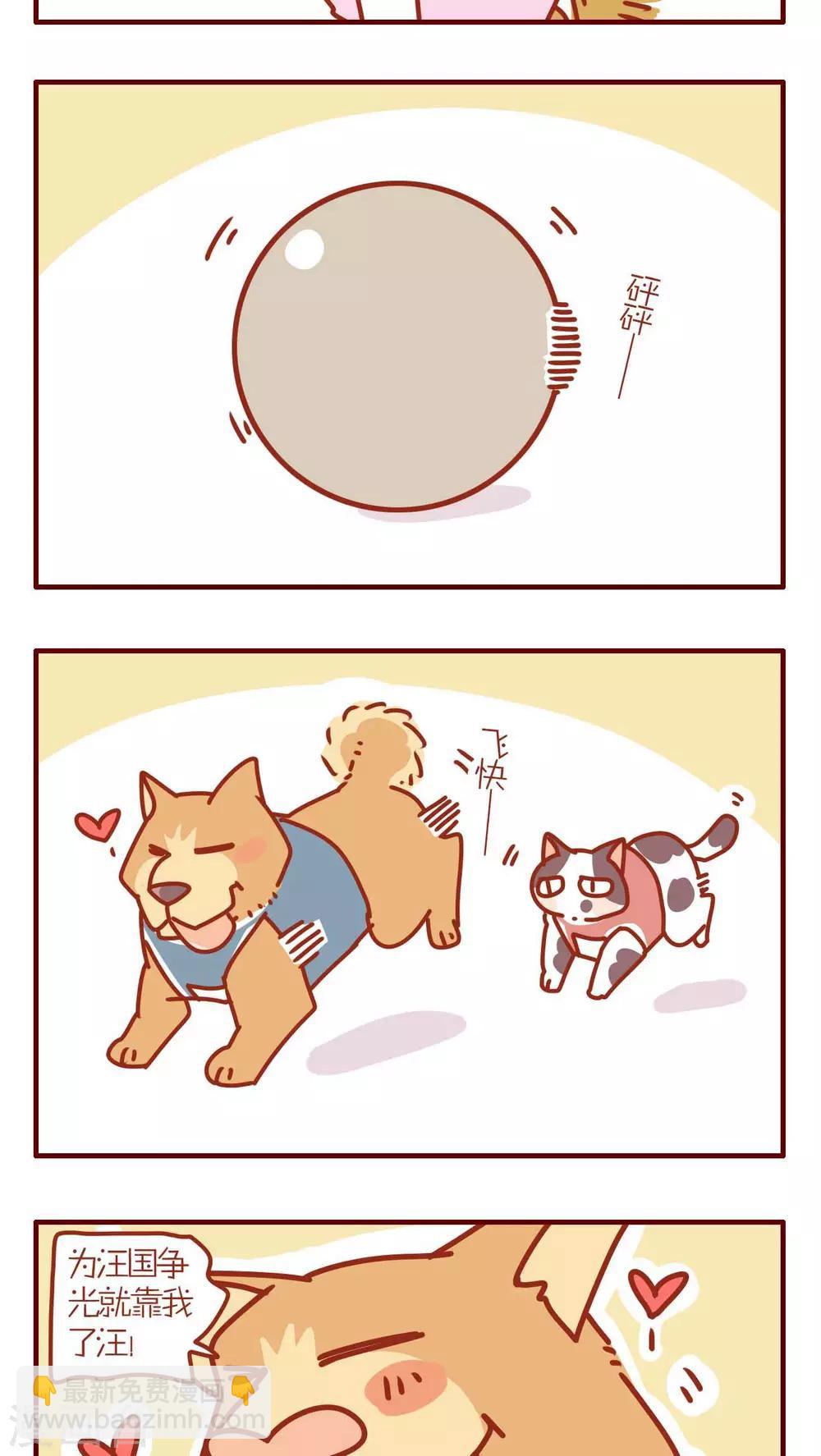 《猫咪甜品屋》第146话 第3页