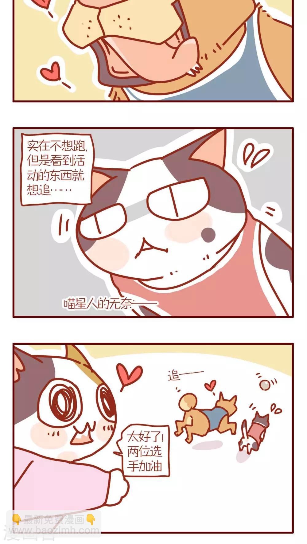 《猫咪甜品屋》第146话 第4页