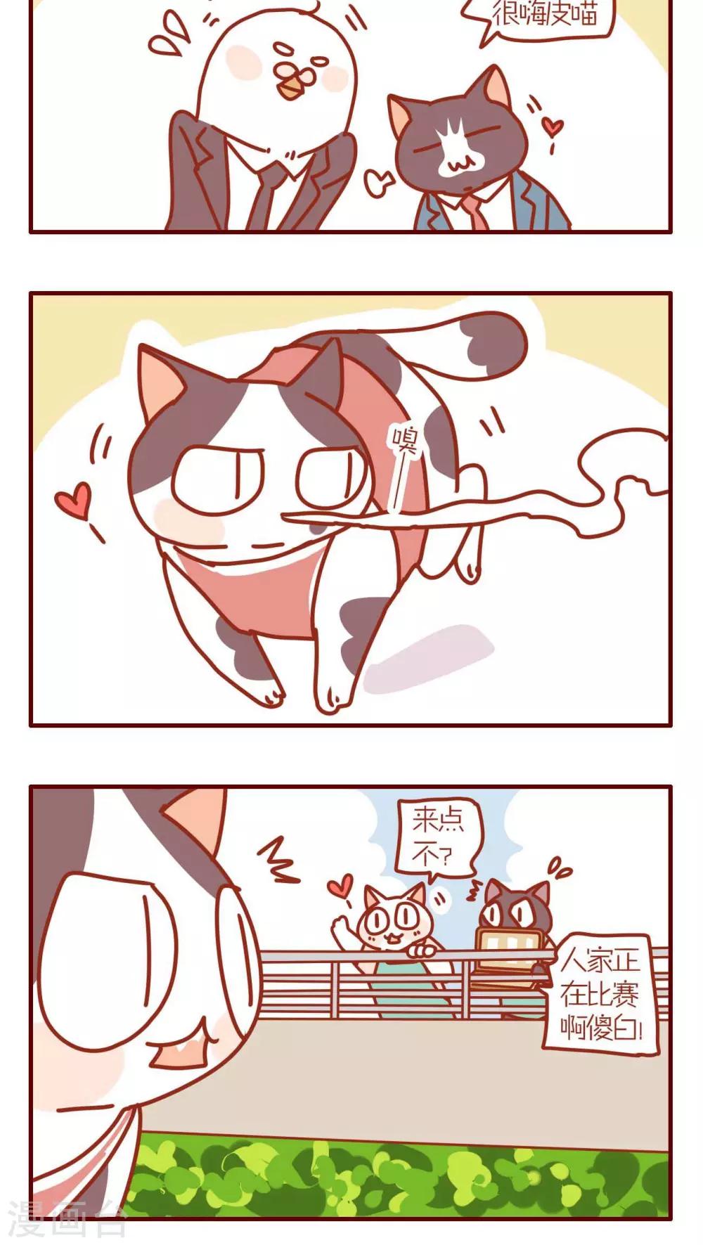《猫咪甜品屋》第147话 第4页