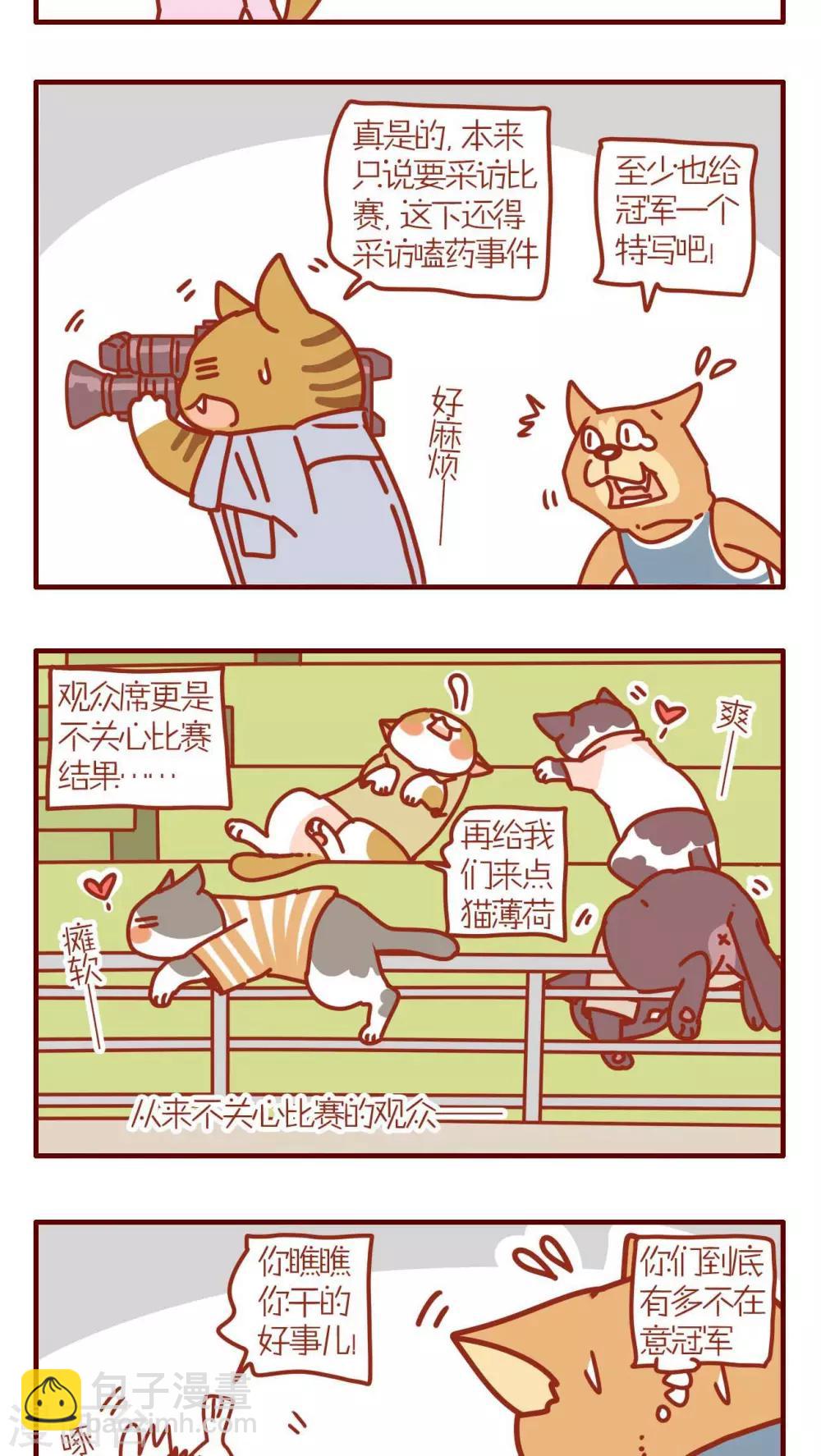 《猫咪甜品屋》第149话 第3页